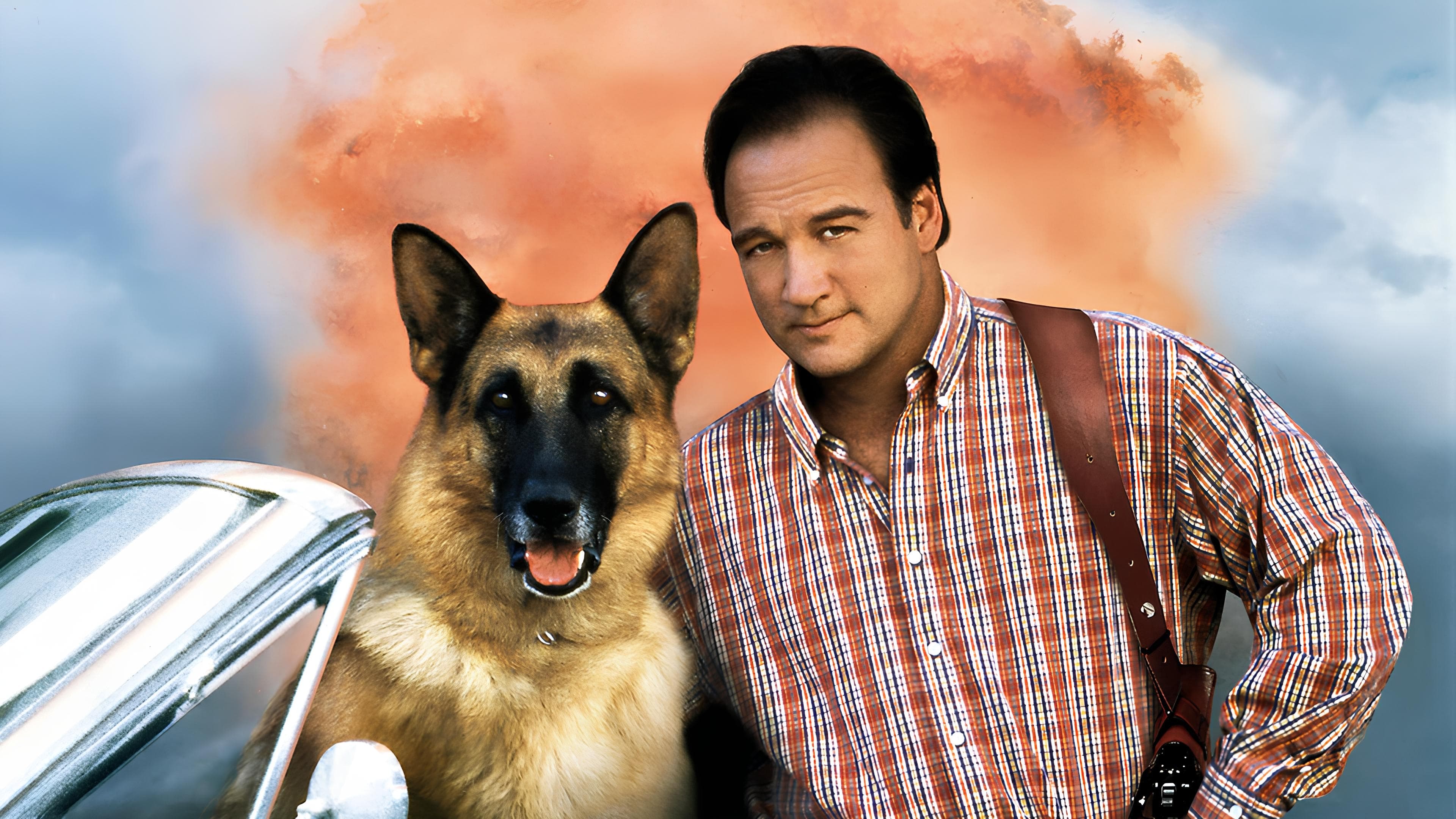 K-911 Poster