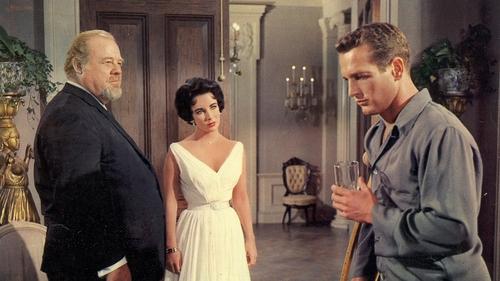 Cat on a Hot Tin Roof Poster