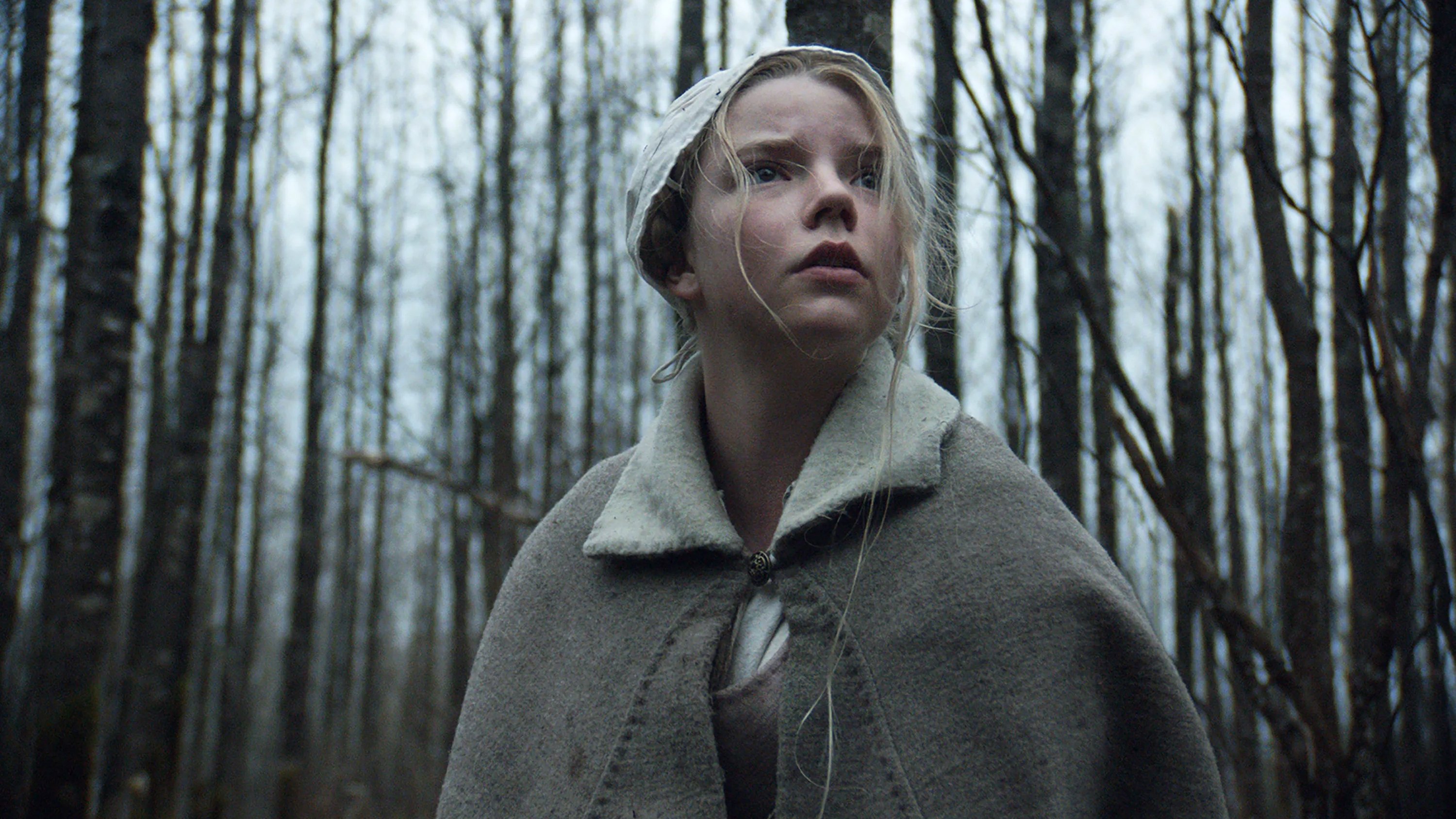 The Witch Poster