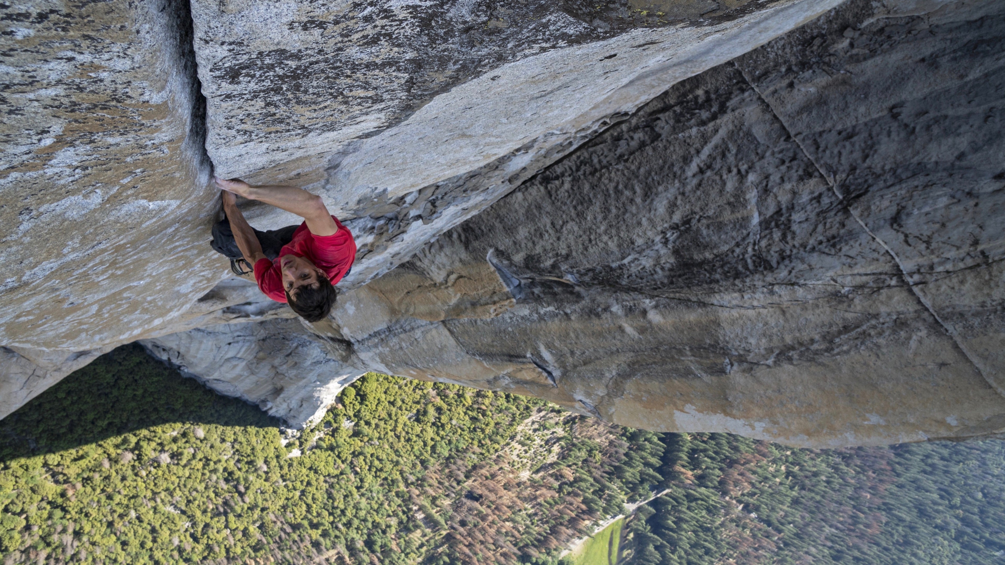 Free Solo Poster