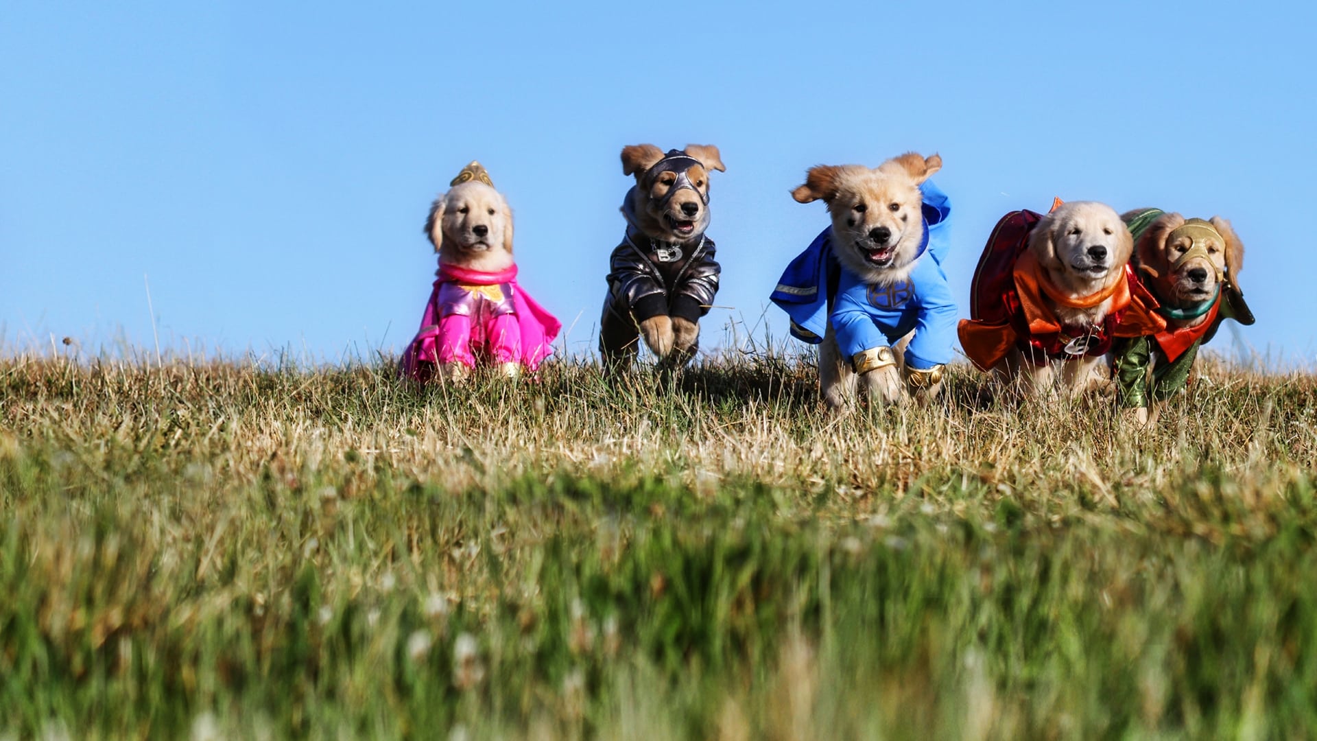 Super Buddies Poster