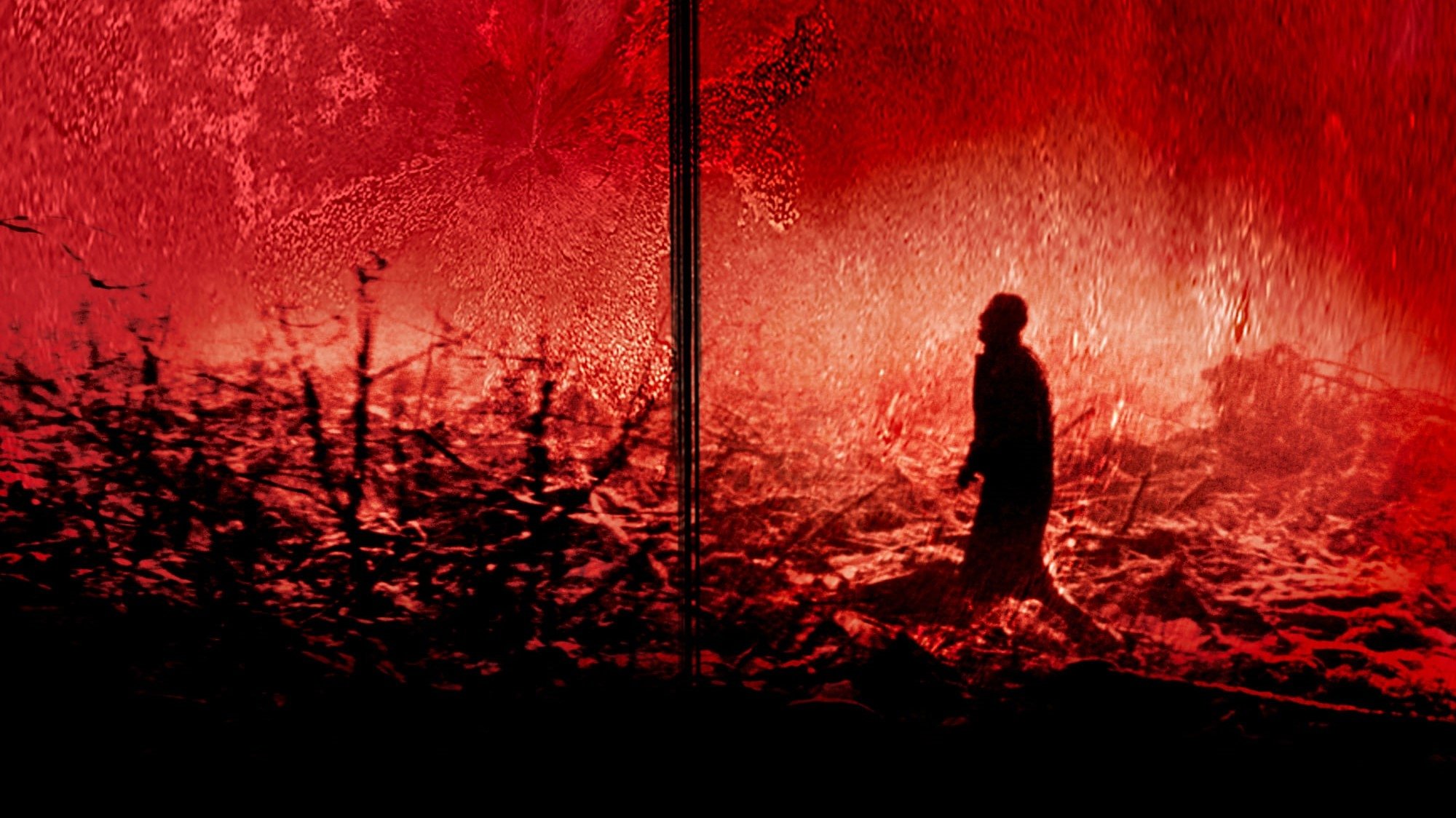 Calvaire Poster