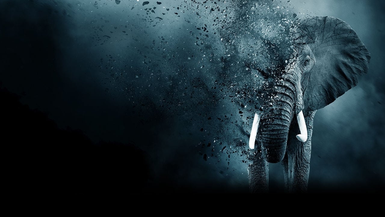 The Ivory Game Poster