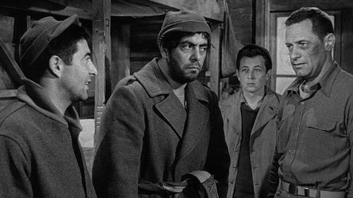 Stalag 17 Poster