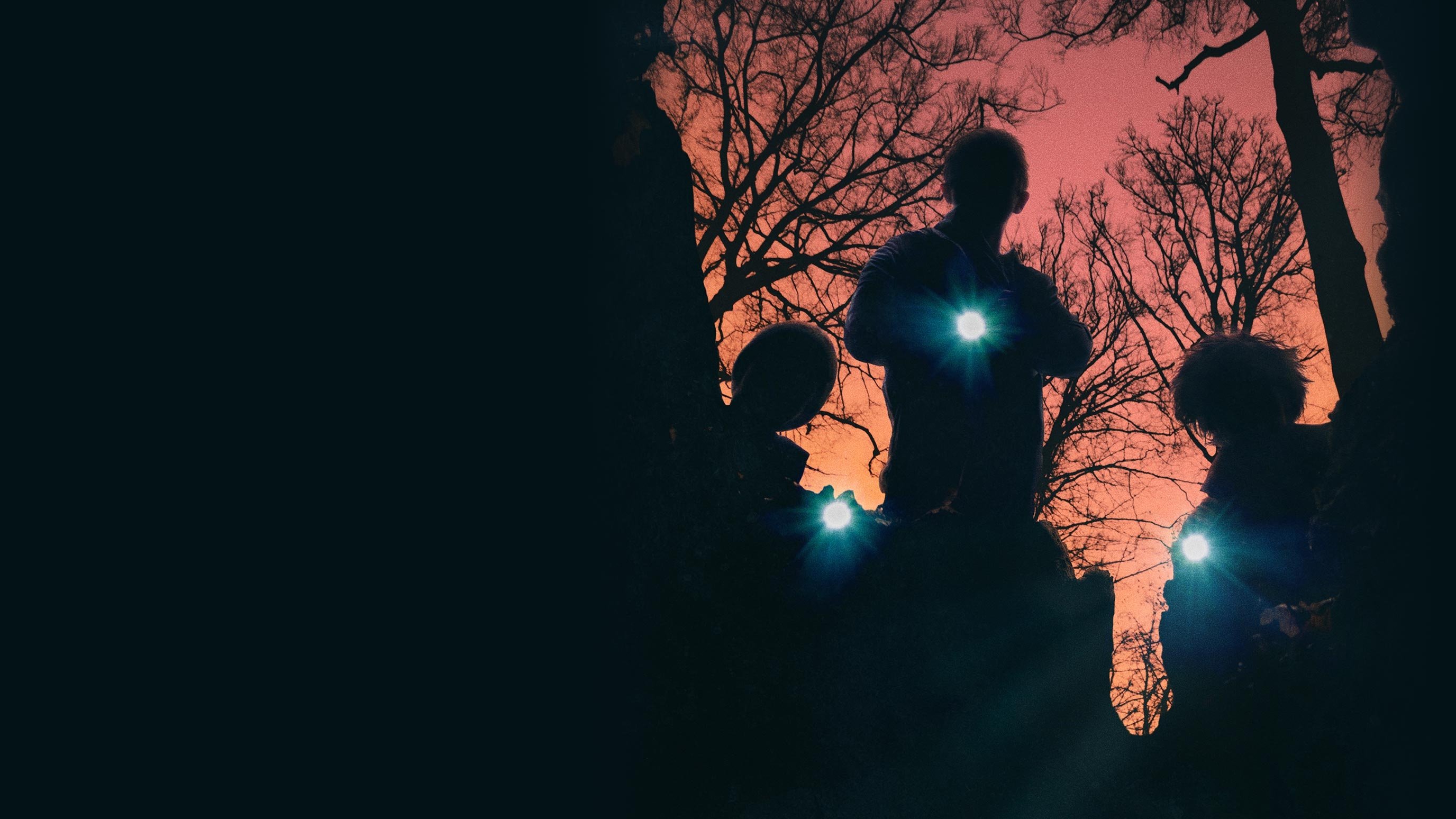 Super Dark Times Poster