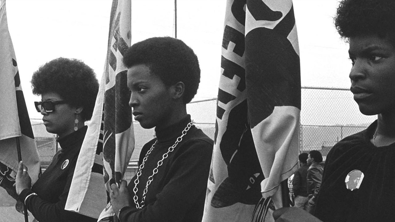 The Black Panthers: Vanguard of the Revolution Poster