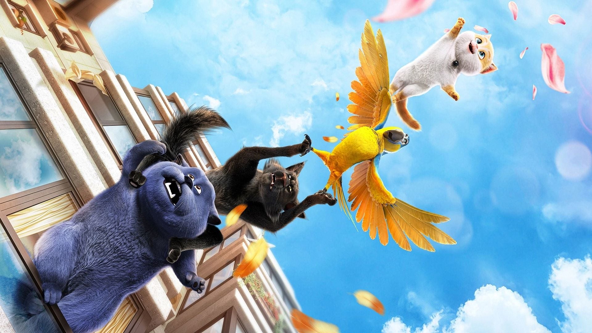 Cats Poster