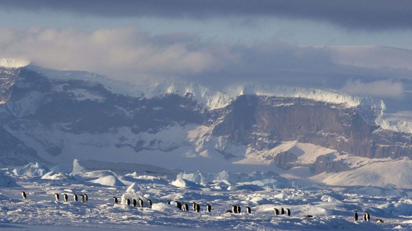 March of the Penguins 2: The Next Step Poster