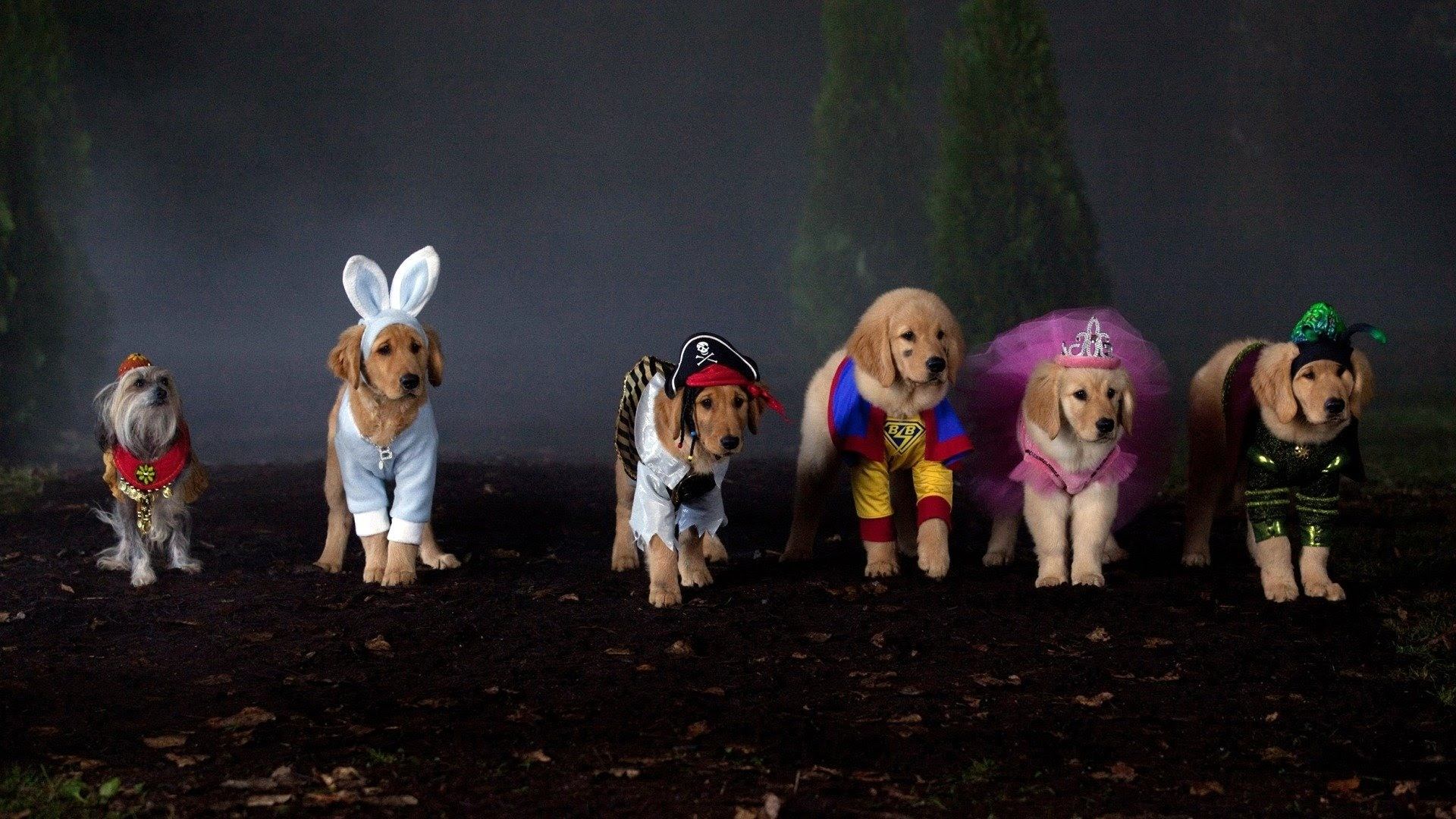 Spooky Buddies Poster