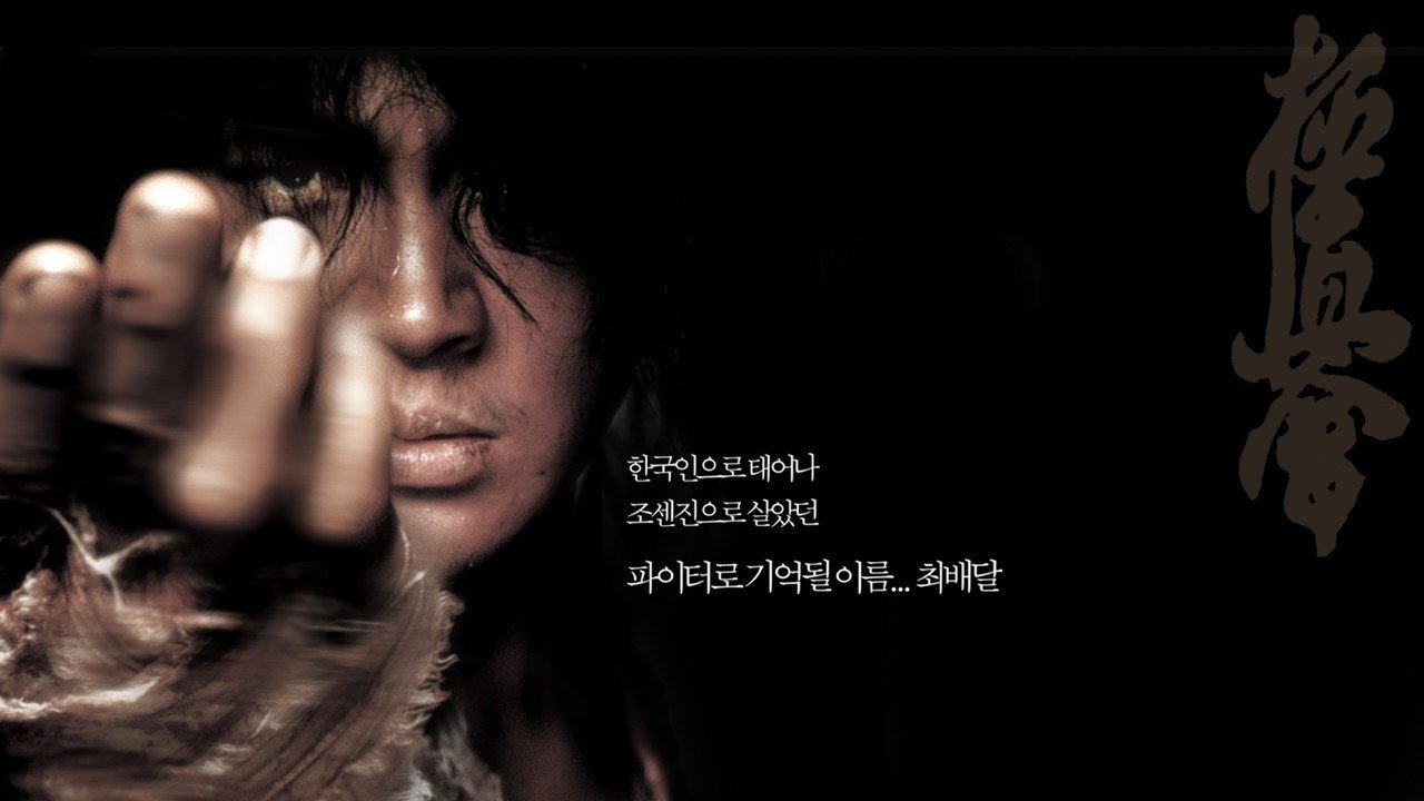 Fighter in the Wind Poster