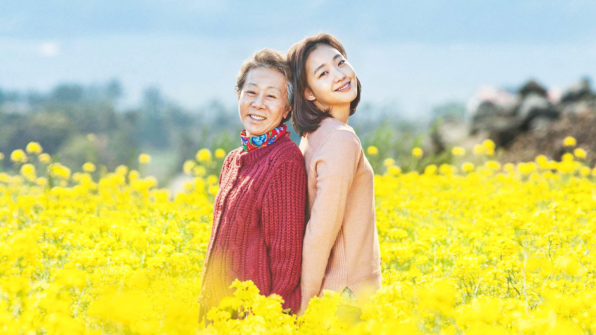 Canola Poster