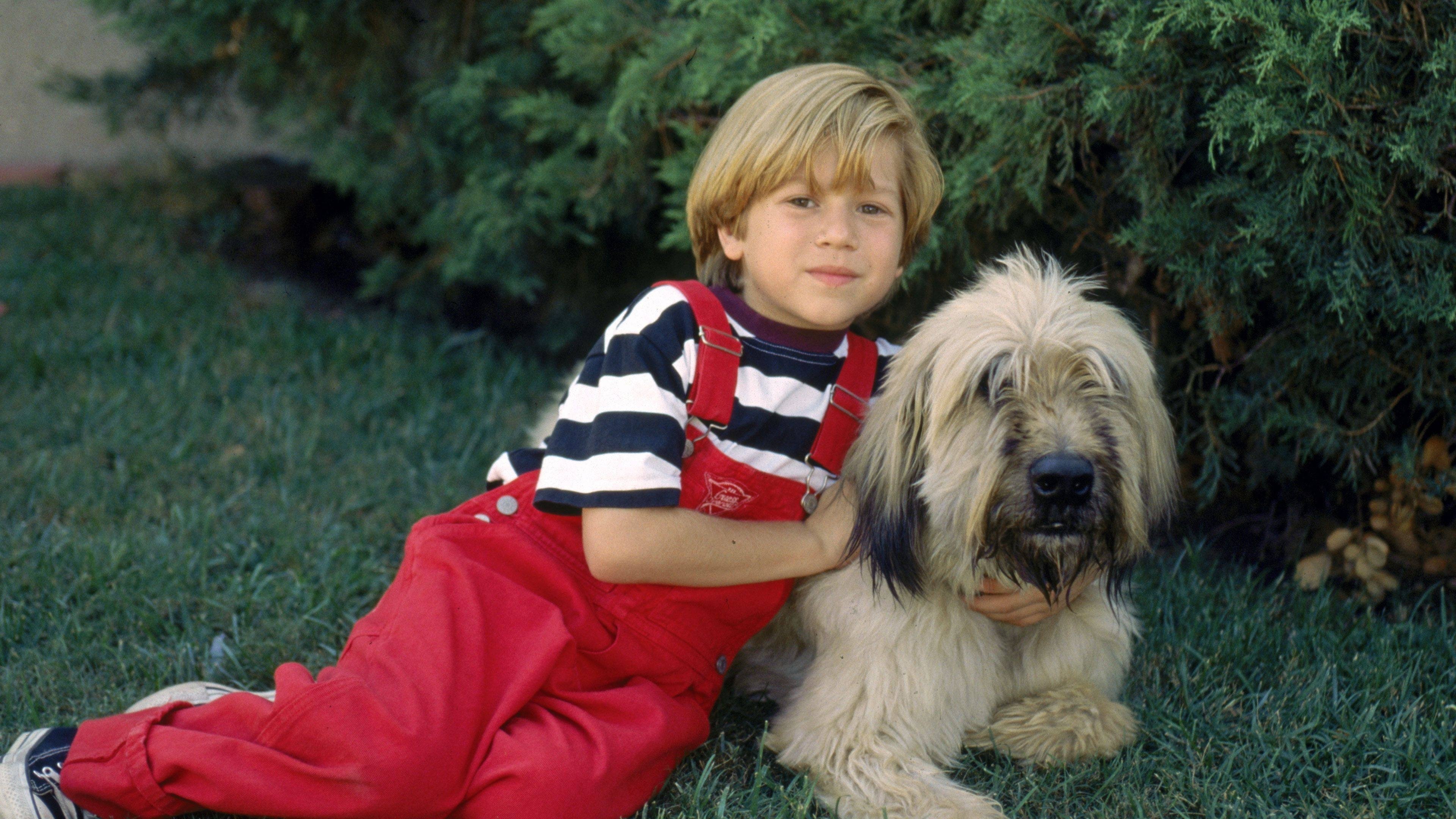 Dennis the Menace Strikes Again! Poster