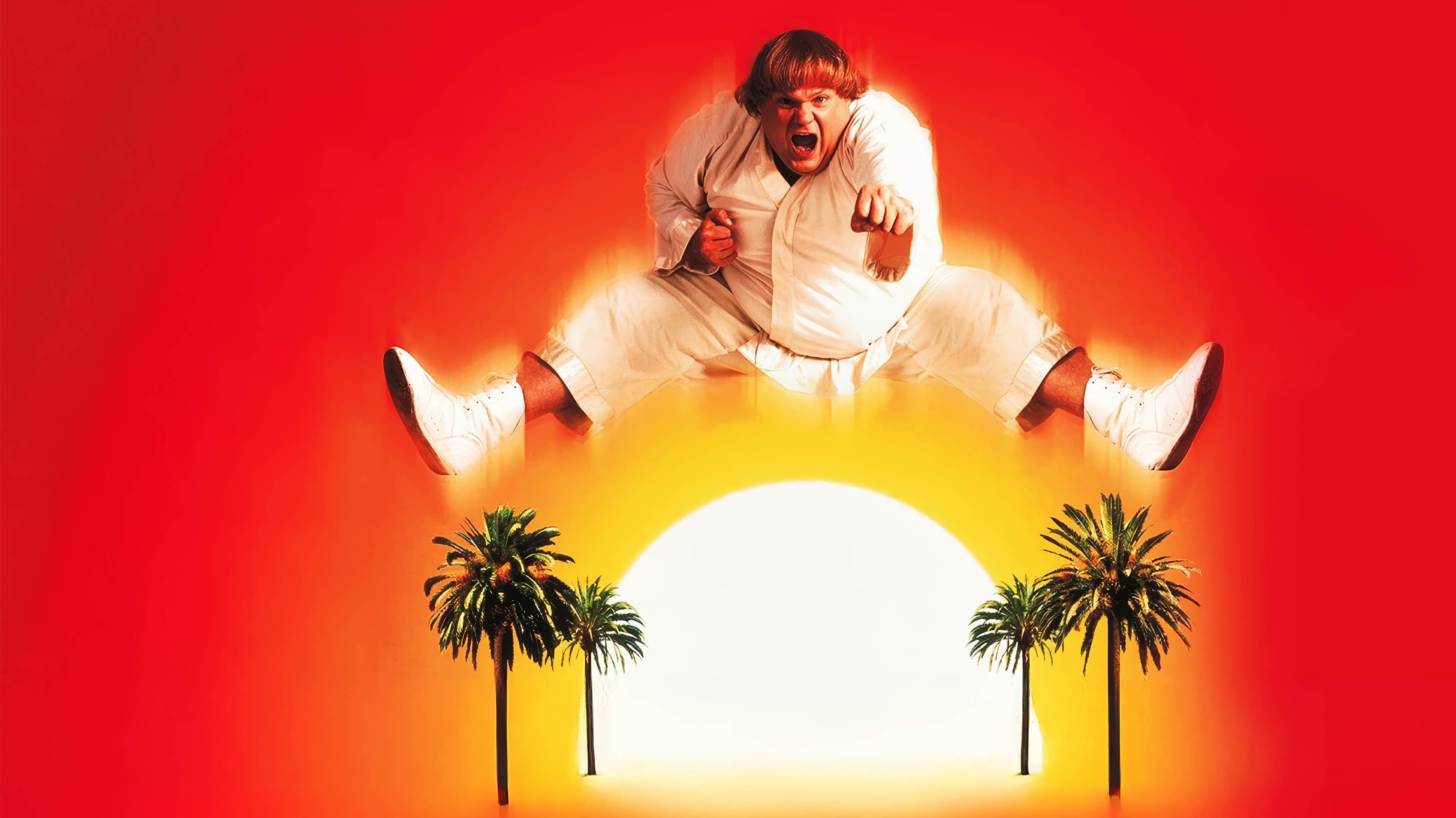 Beverly Hills Ninja Poster