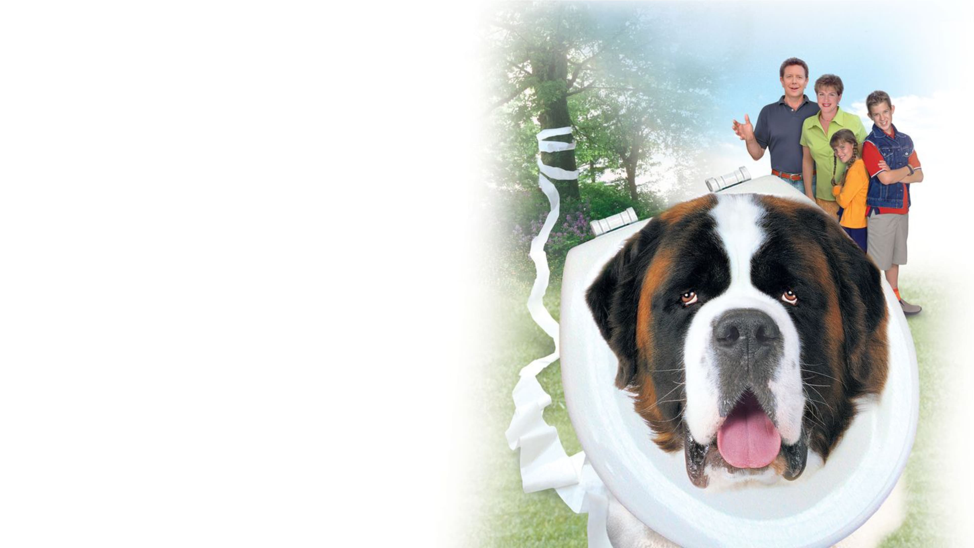Beethoven's 4th Poster