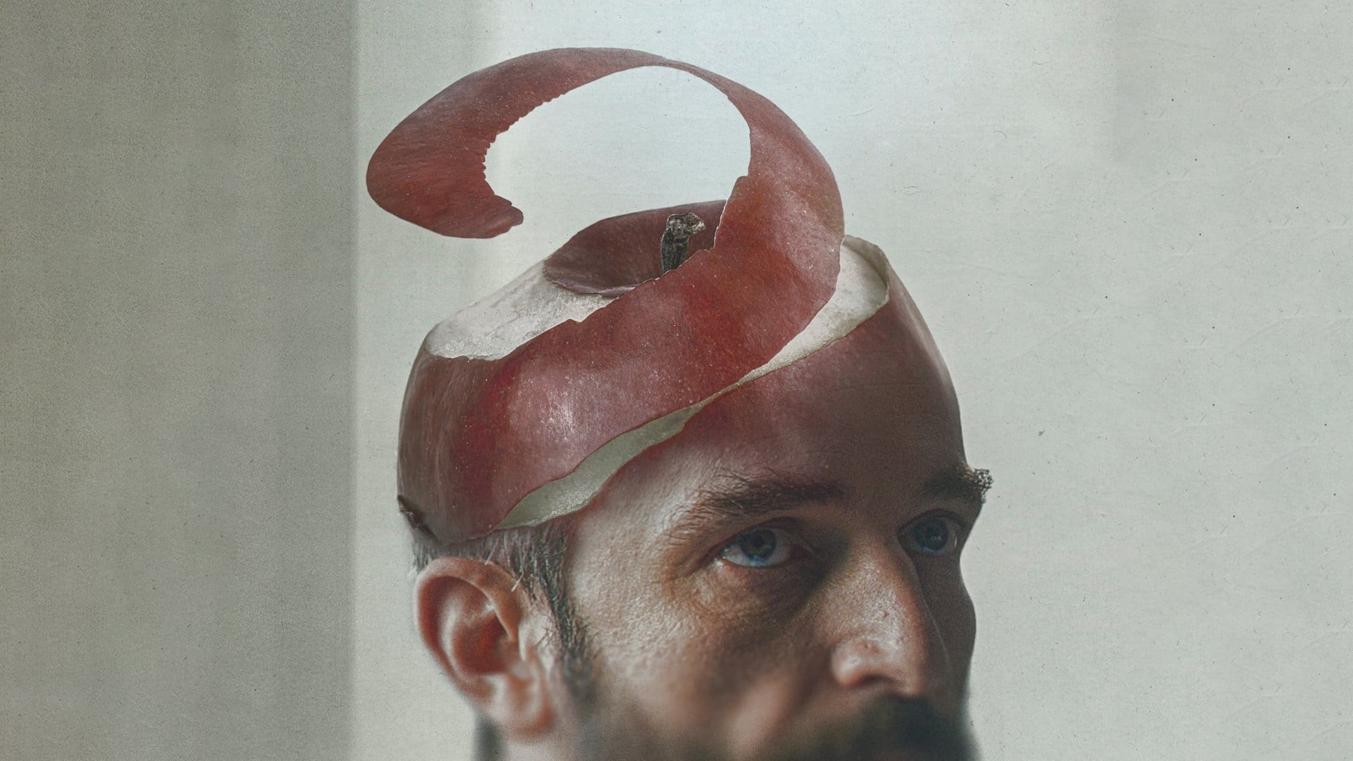 Apples Poster