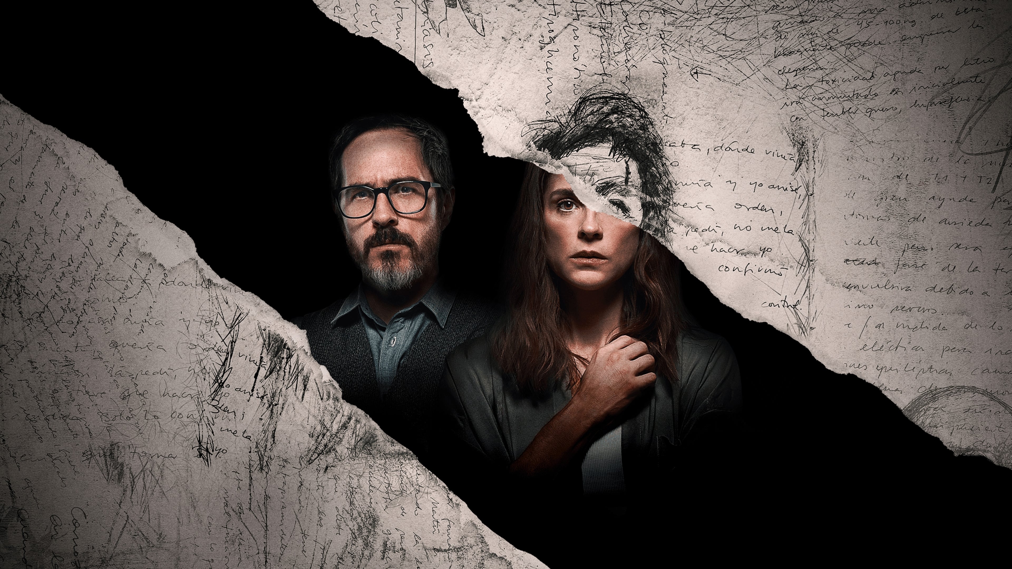 The Diary Poster