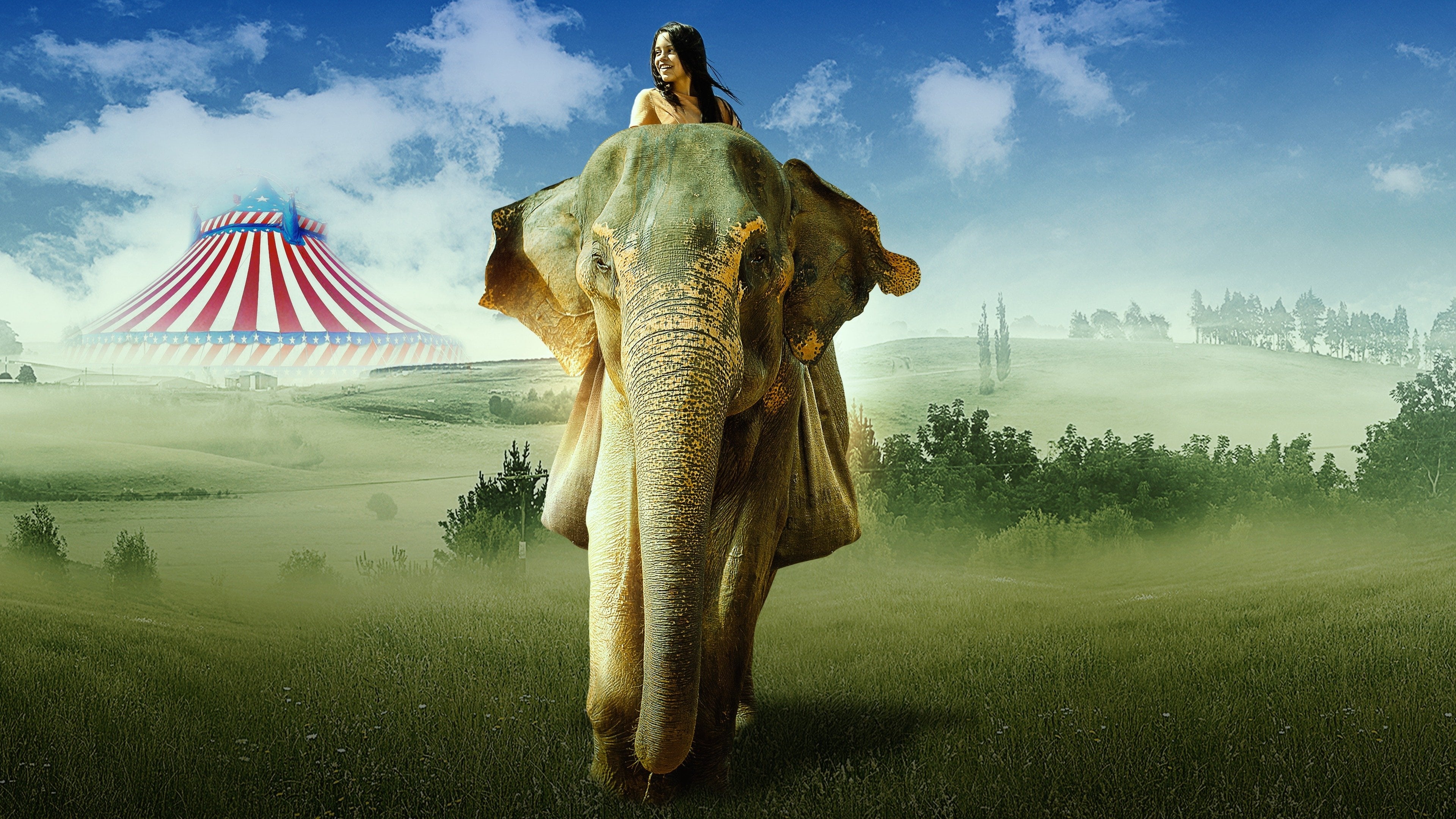 Saving Flora Poster