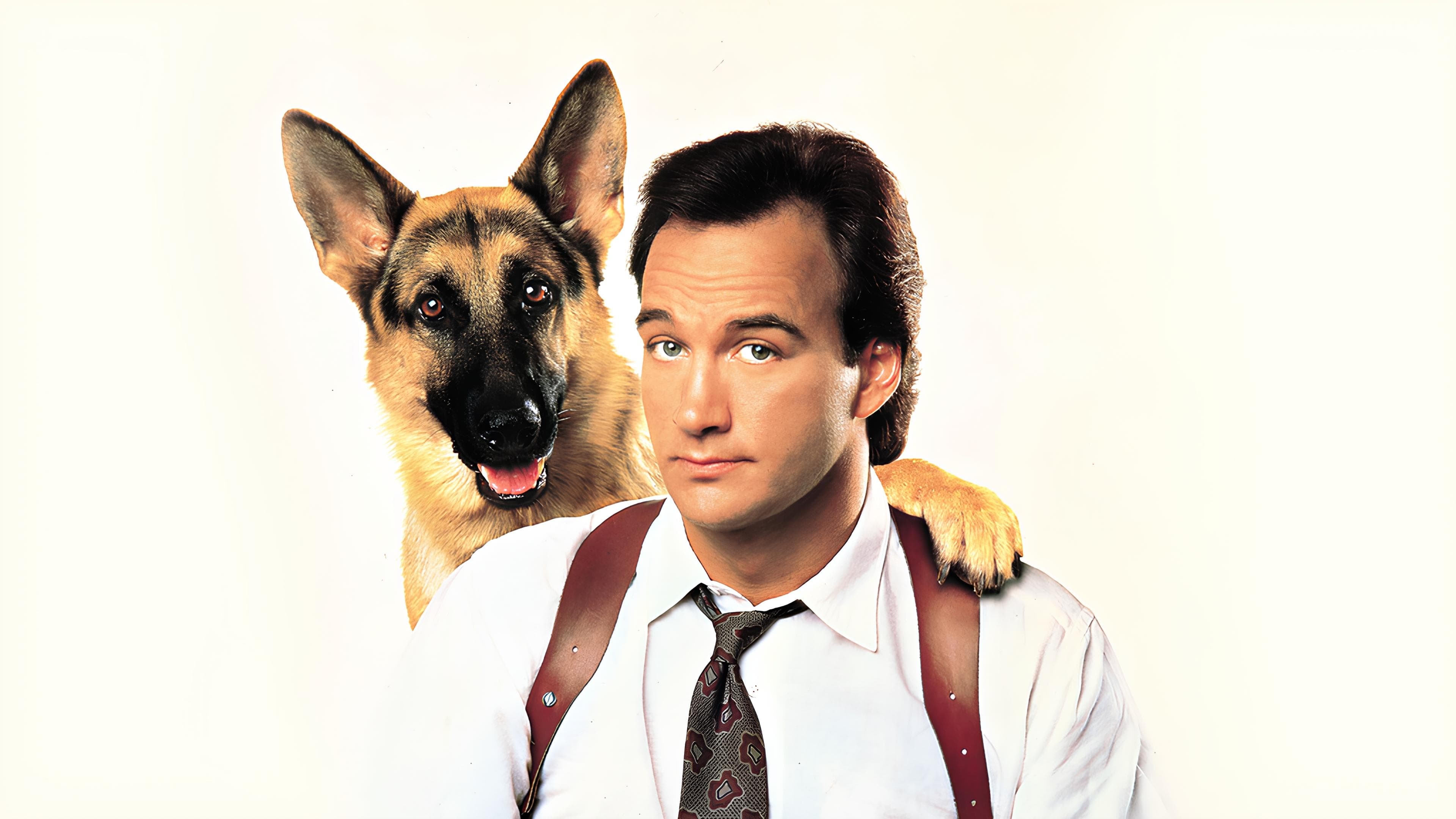 K-9 Poster