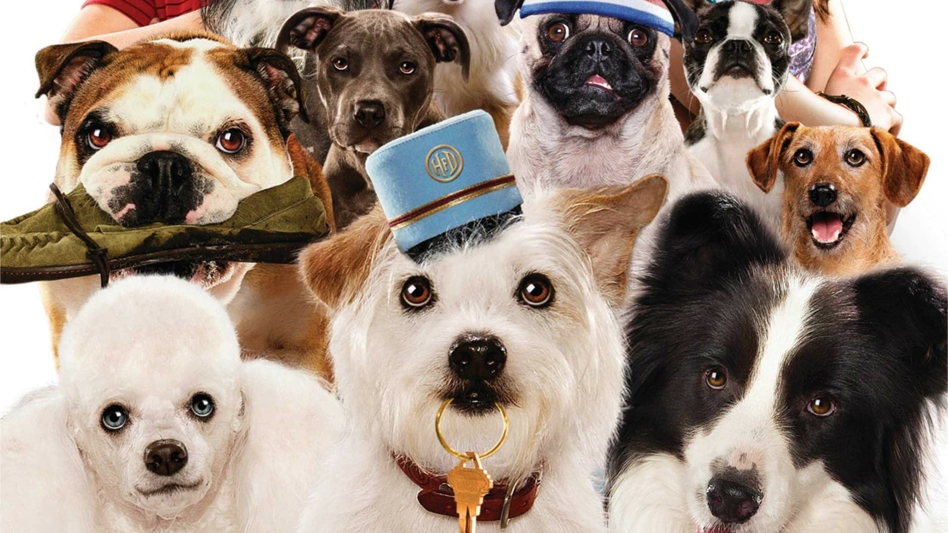 Hotel for Dogs Poster