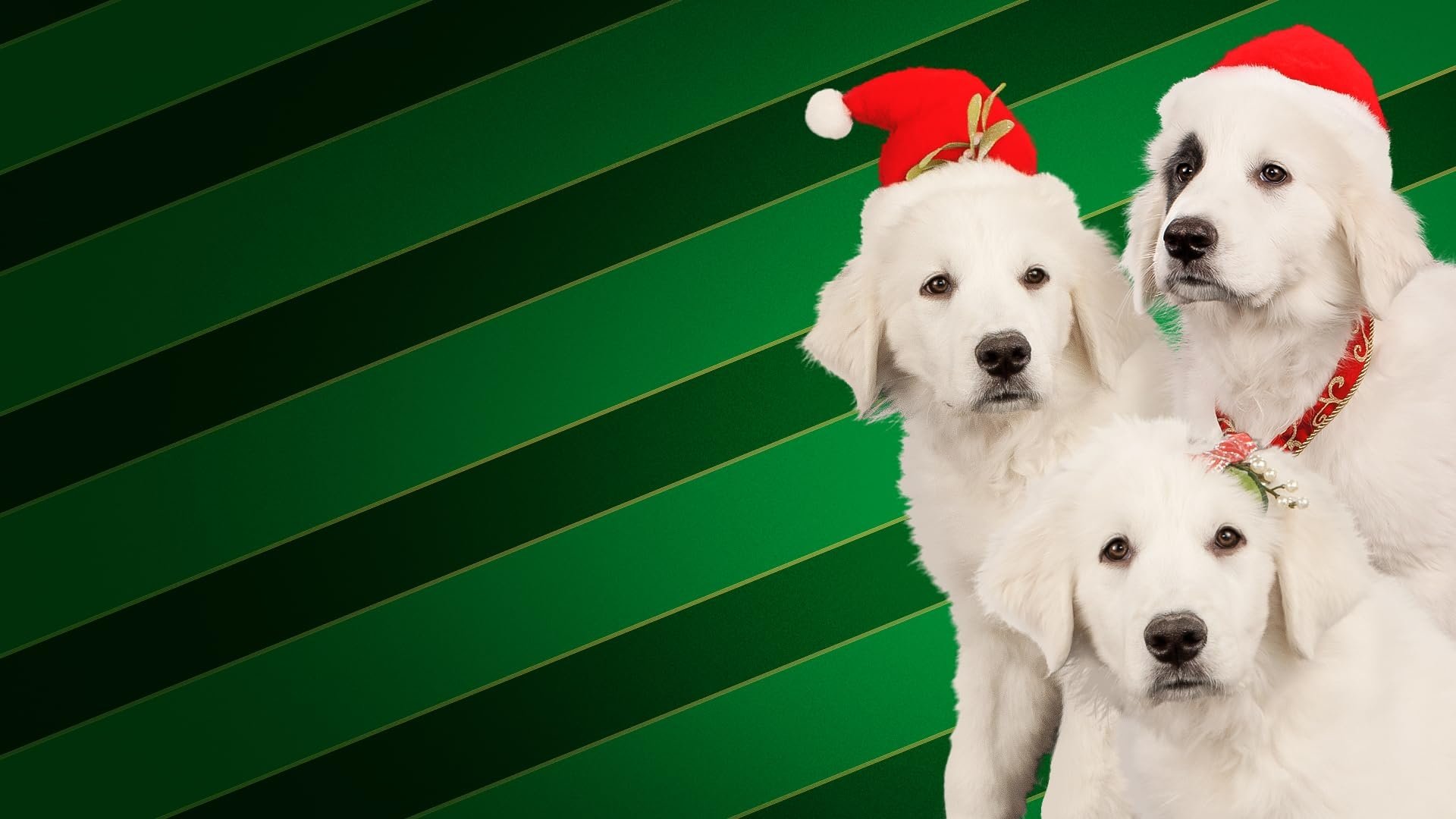 Santa Buddies Poster
