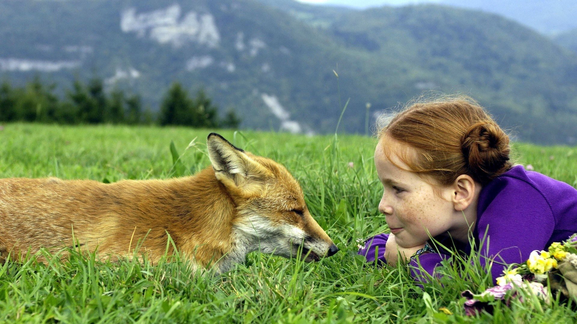 The Fox and the Child Poster