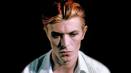 The Man Who Fell to Earth Poster