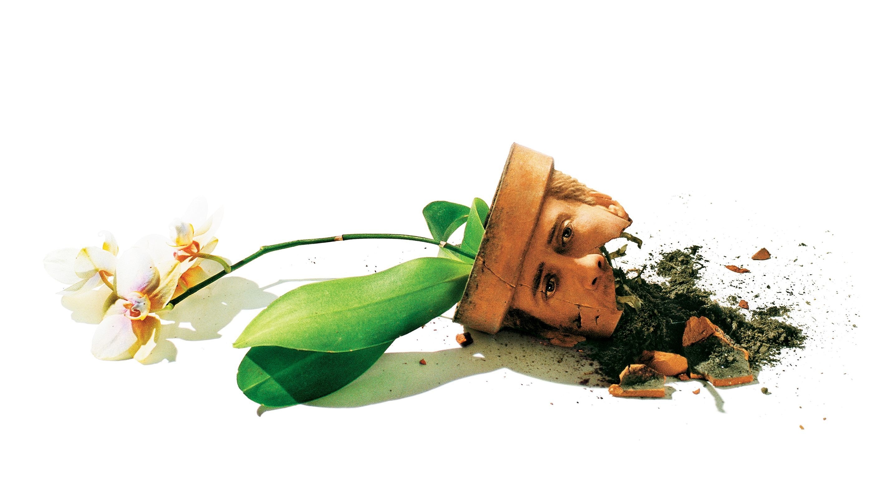 Adaptation. Poster