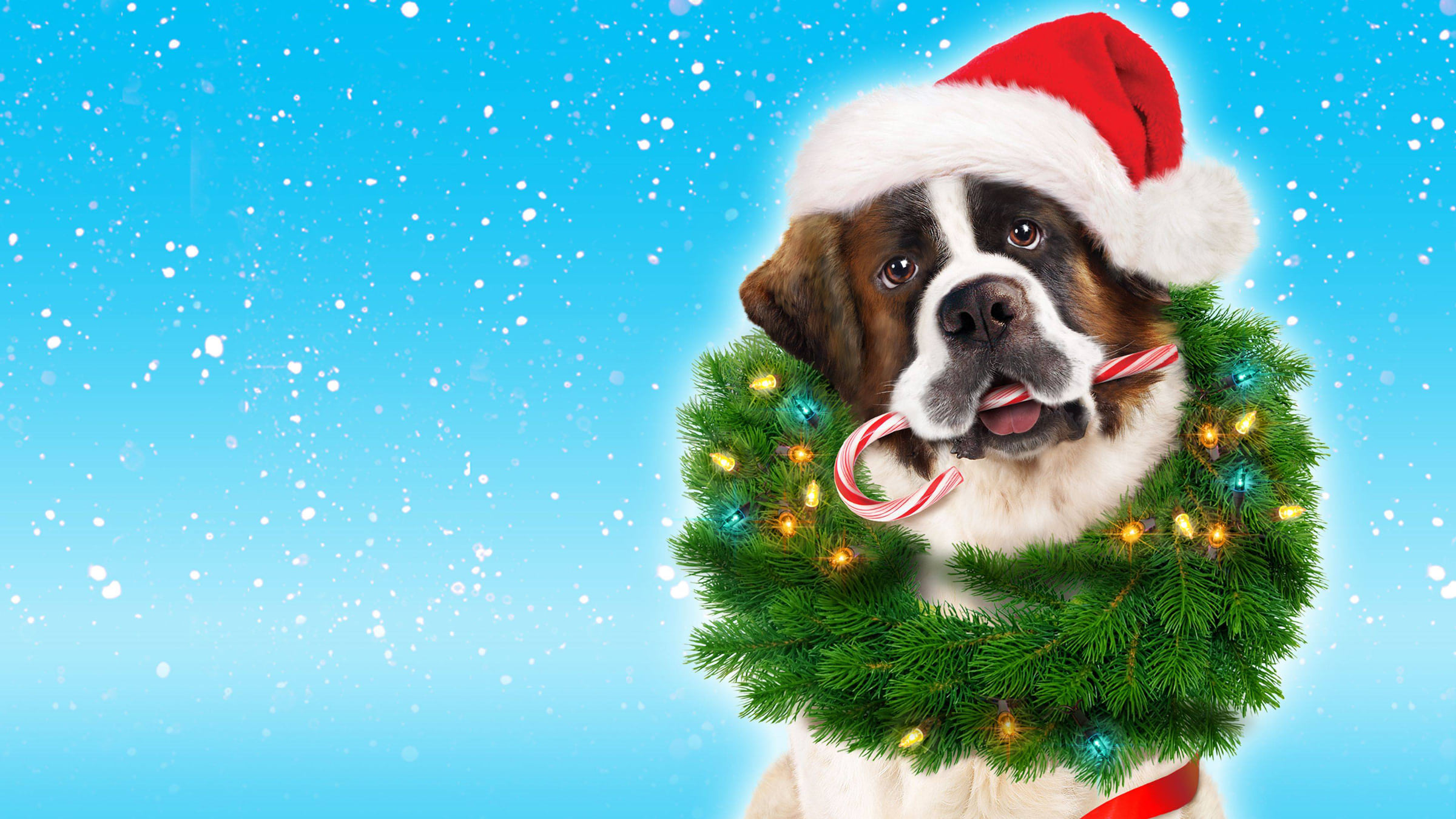 Beethoven's Christmas Adventure Poster