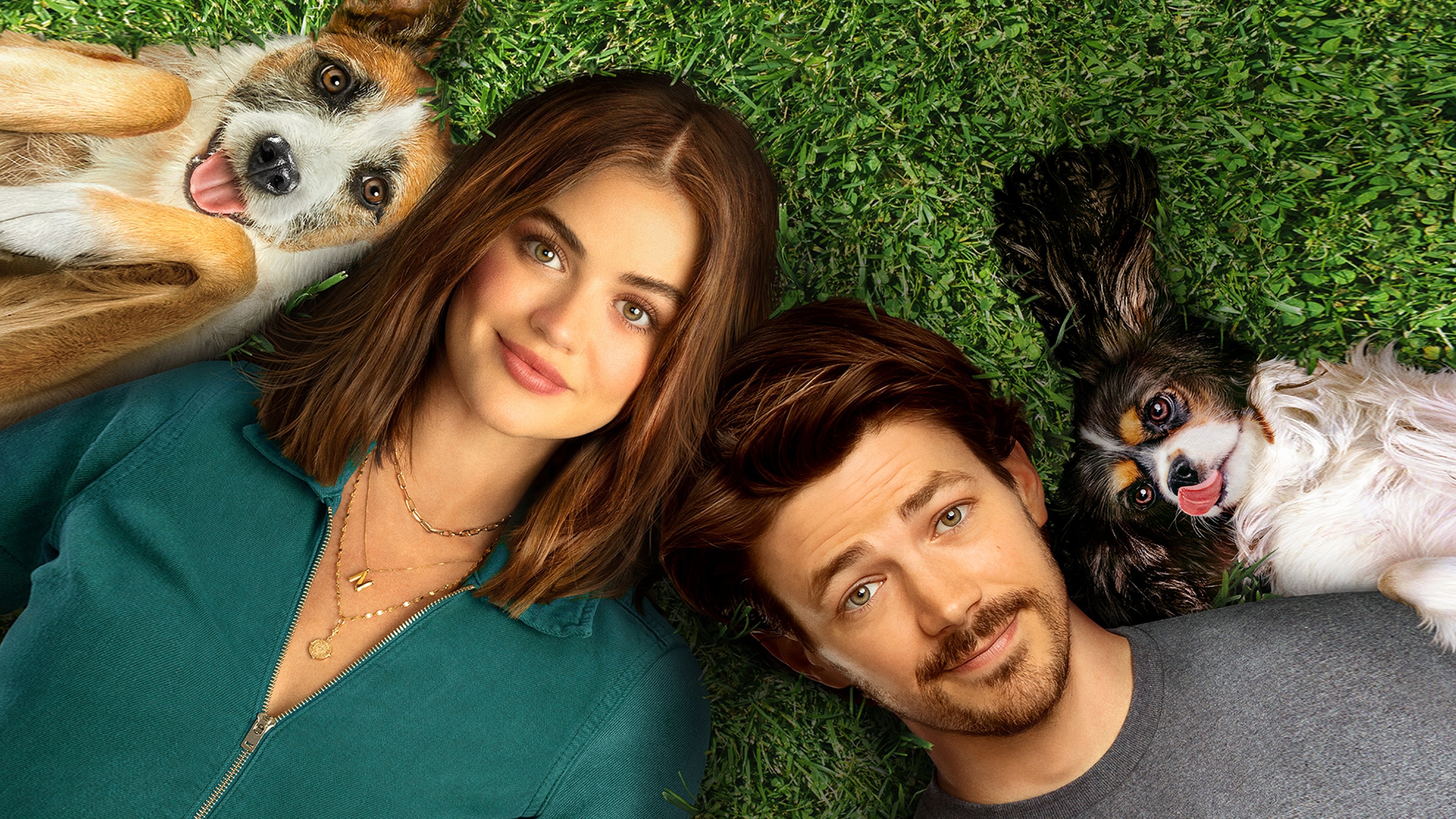 Puppy Love Poster