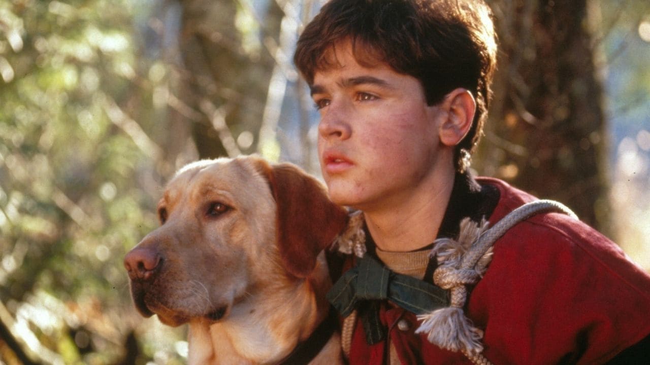 Far from Home: The Adventures of Yellow Dog Poster