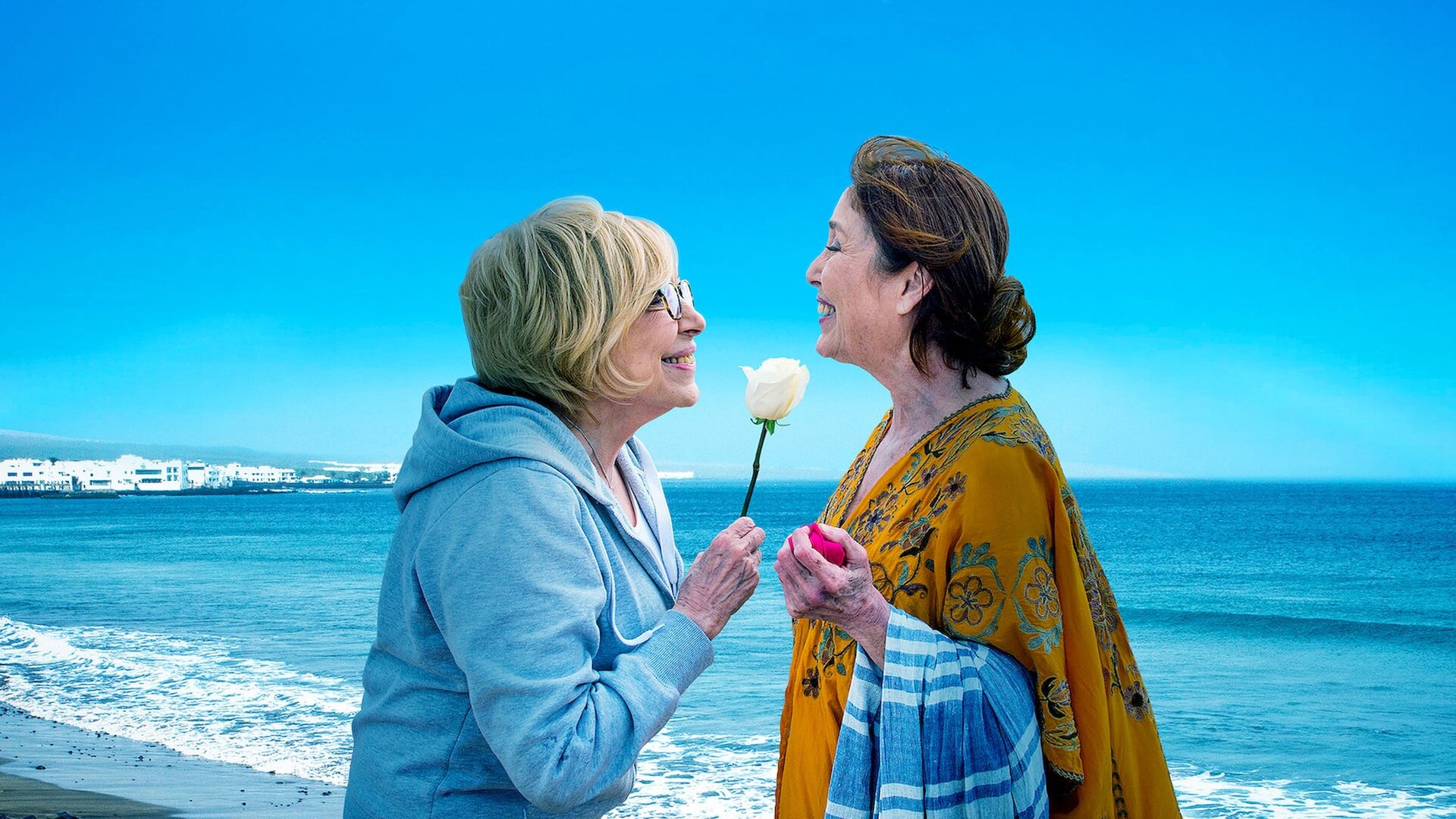 So My Grandma's a Lesbian! Poster