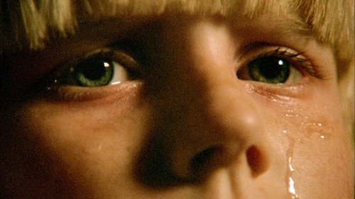 The Brood Poster