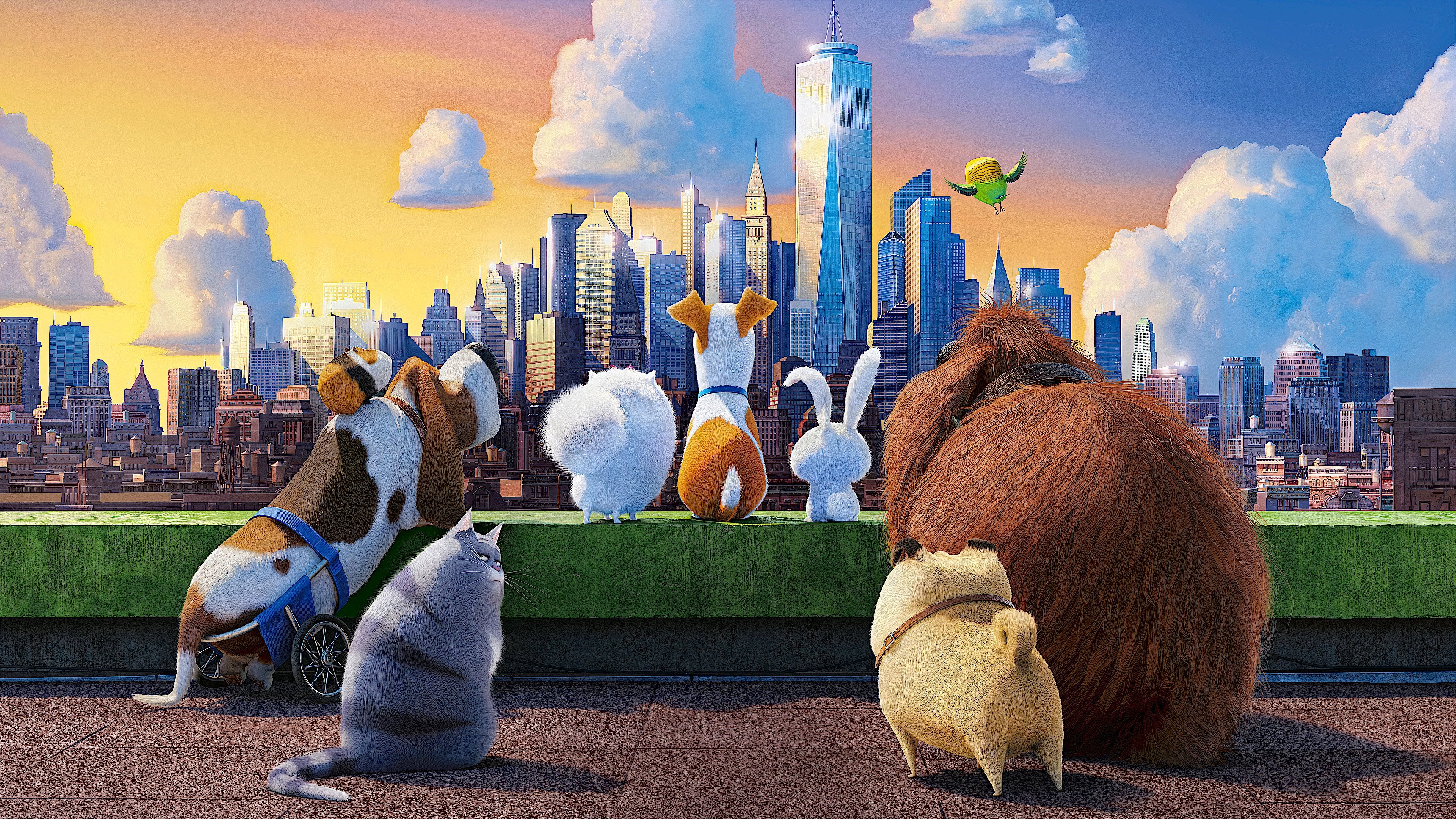 The Secret Life of Pets Poster
