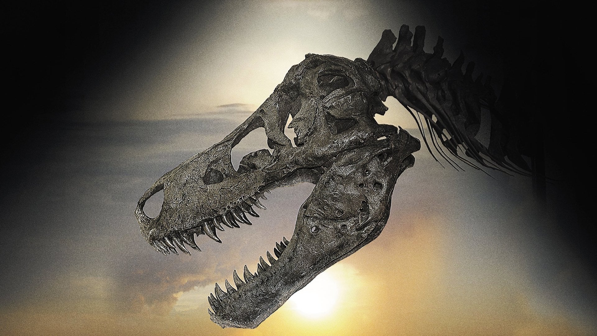 Dinosaur 13 Poster