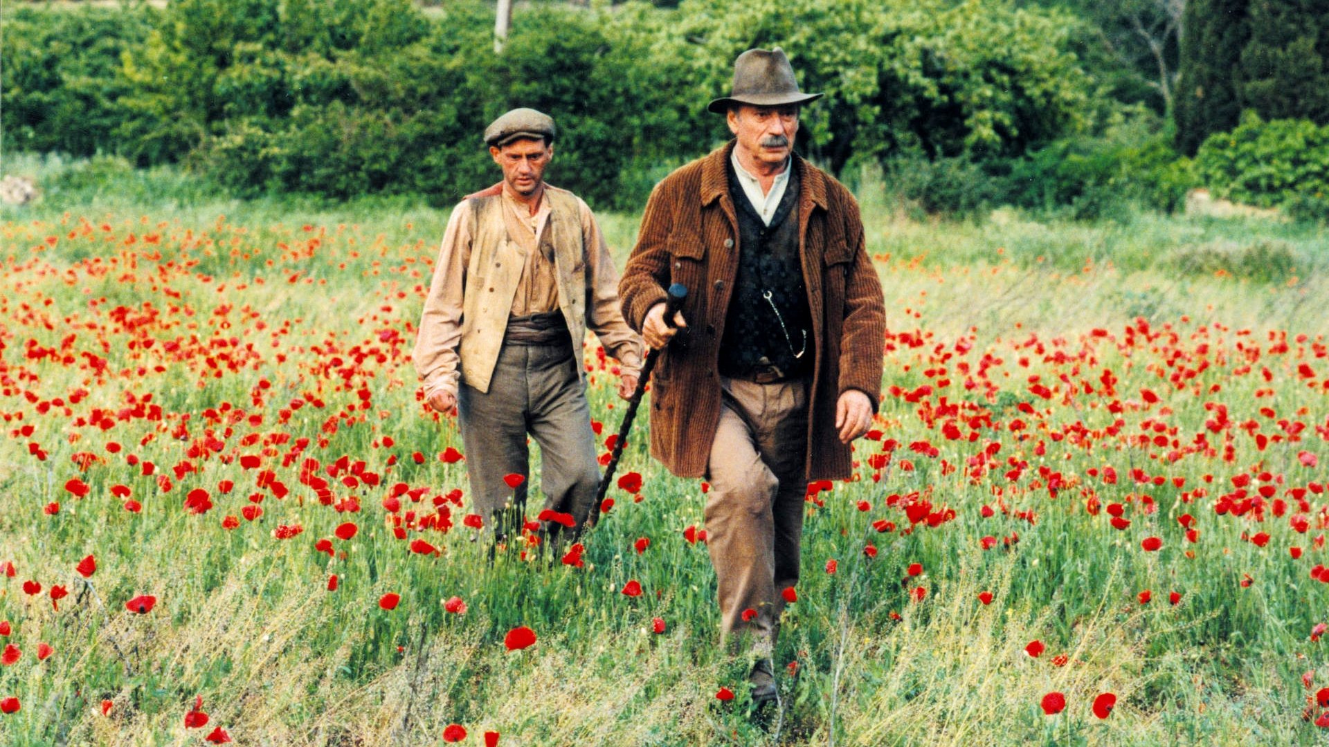 Jean de Florette Poster