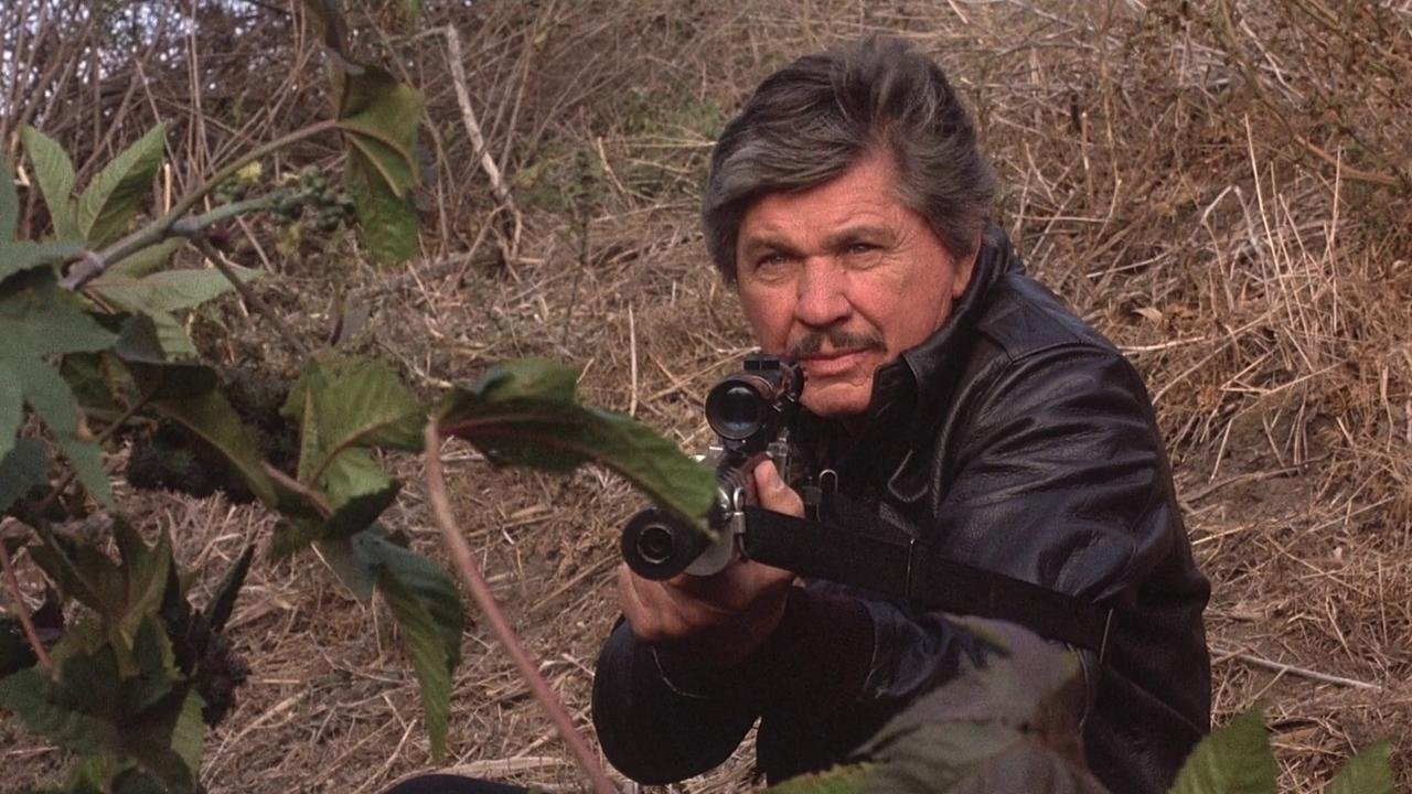Death Wish 4: The Crackdown Poster