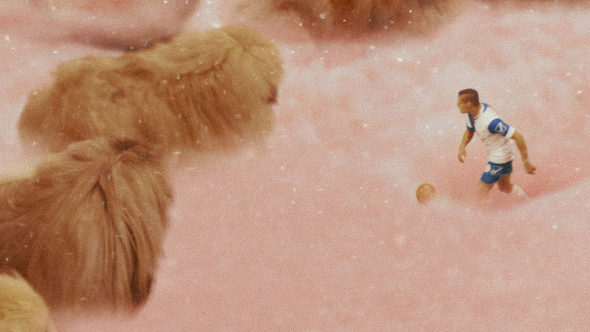 Diamantino Poster