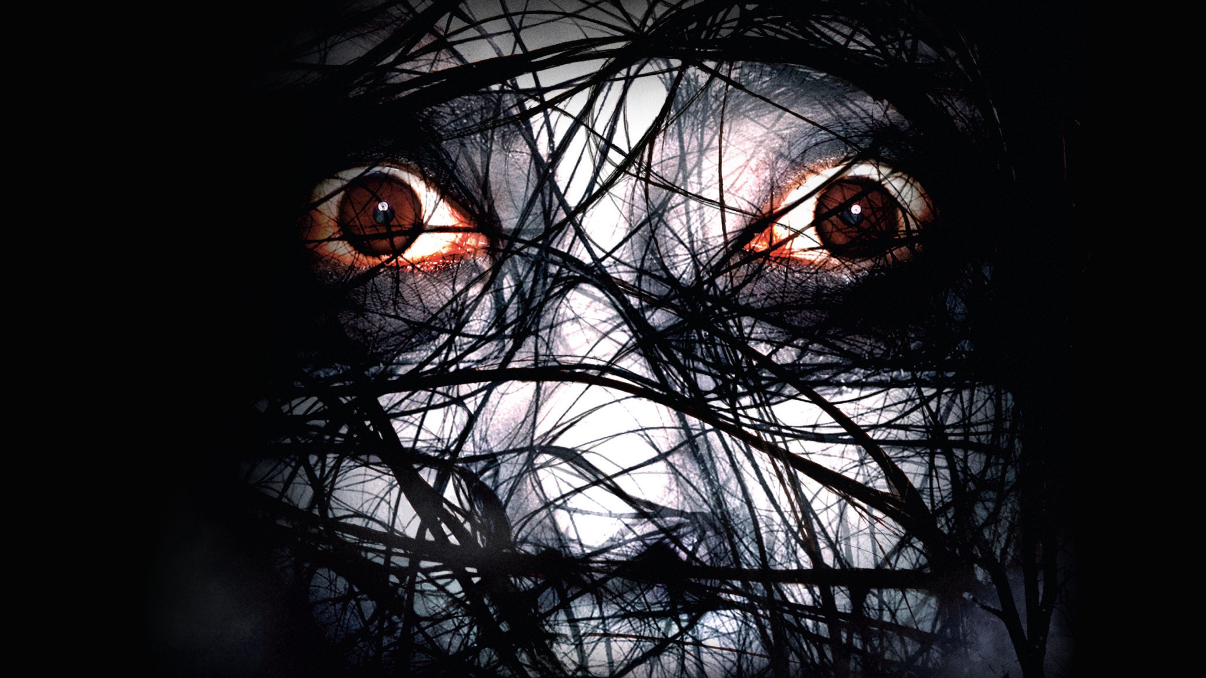 The Grudge 2 Poster