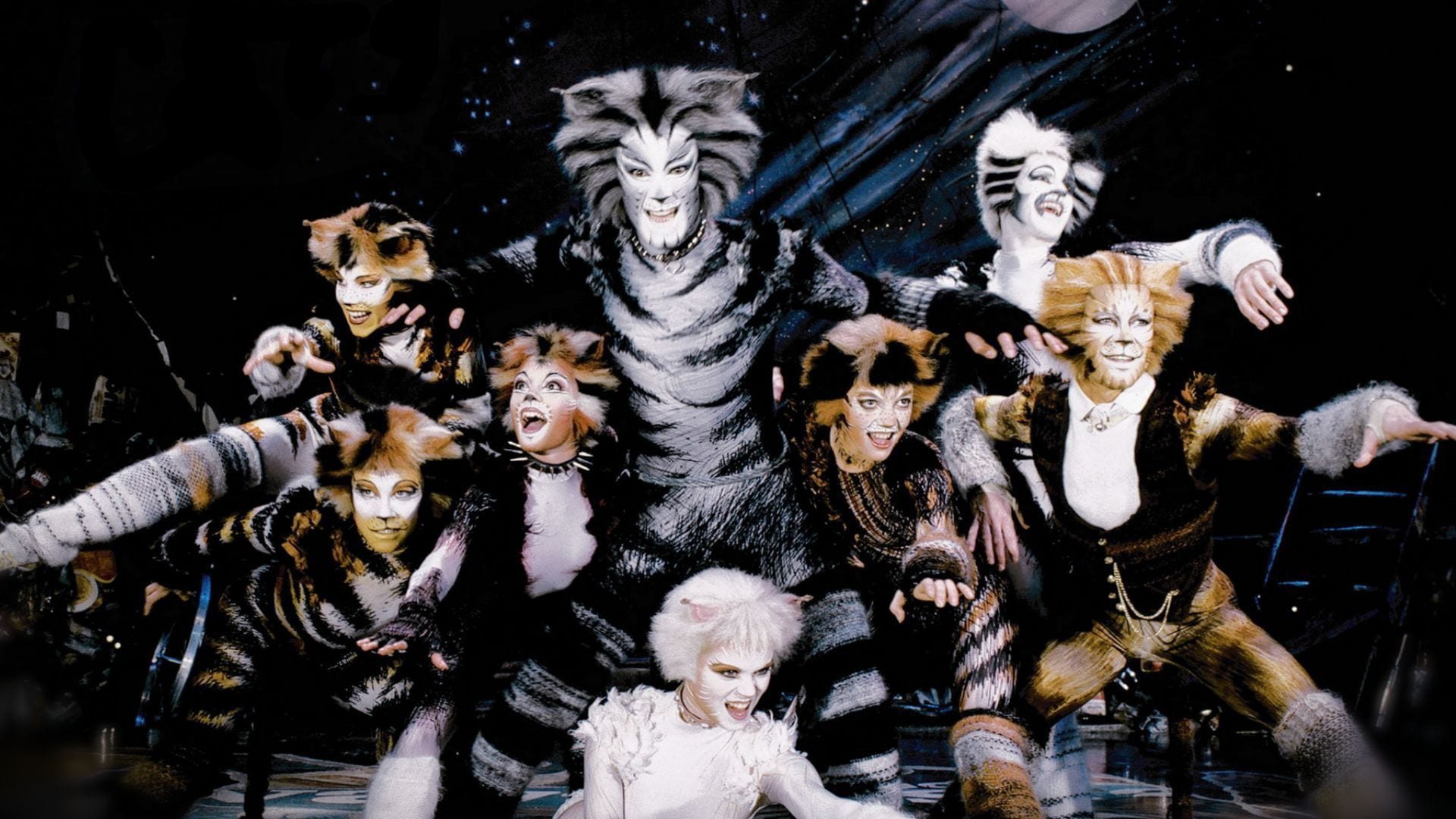 Cats Poster
