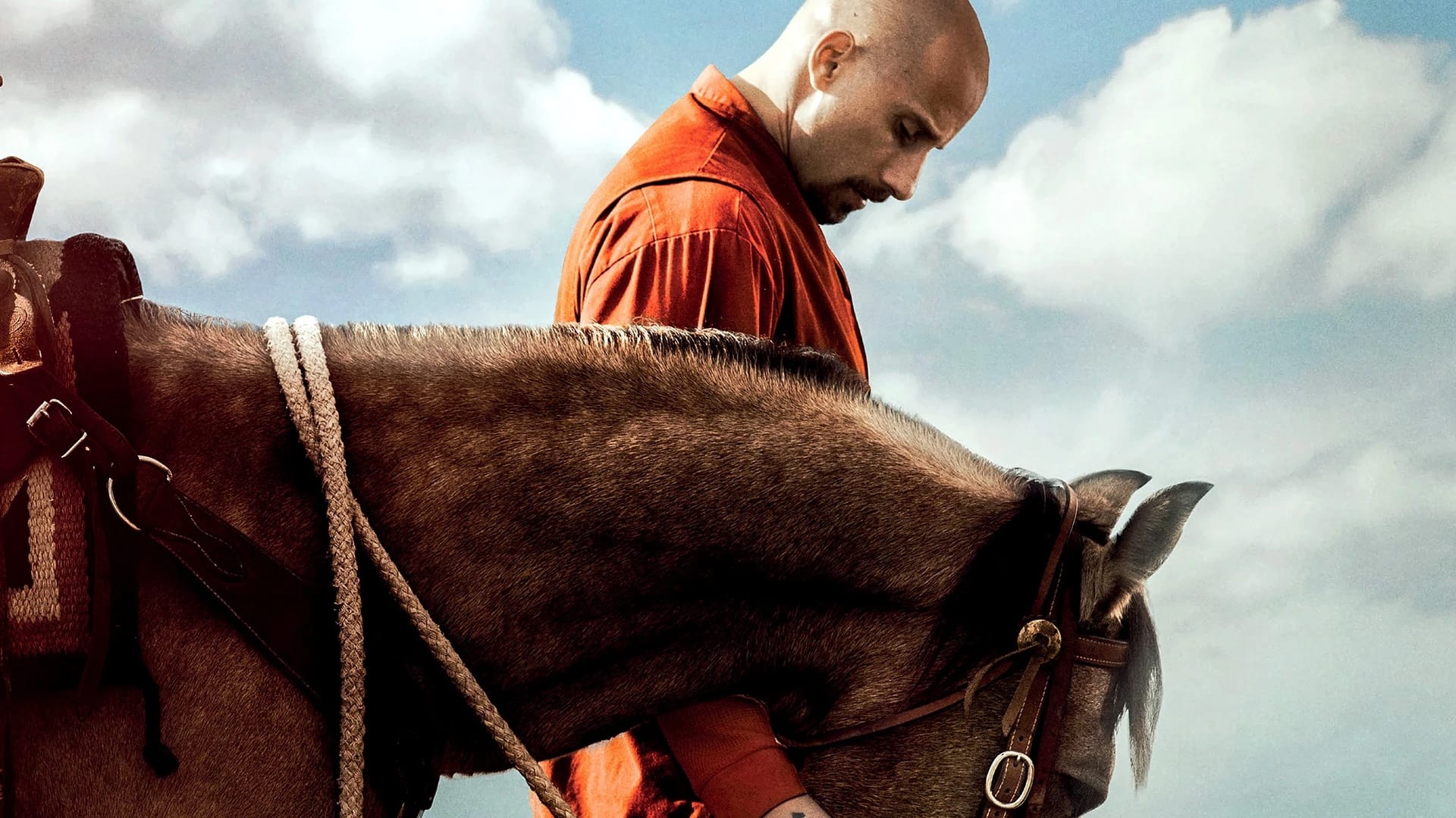 The Mustang Poster