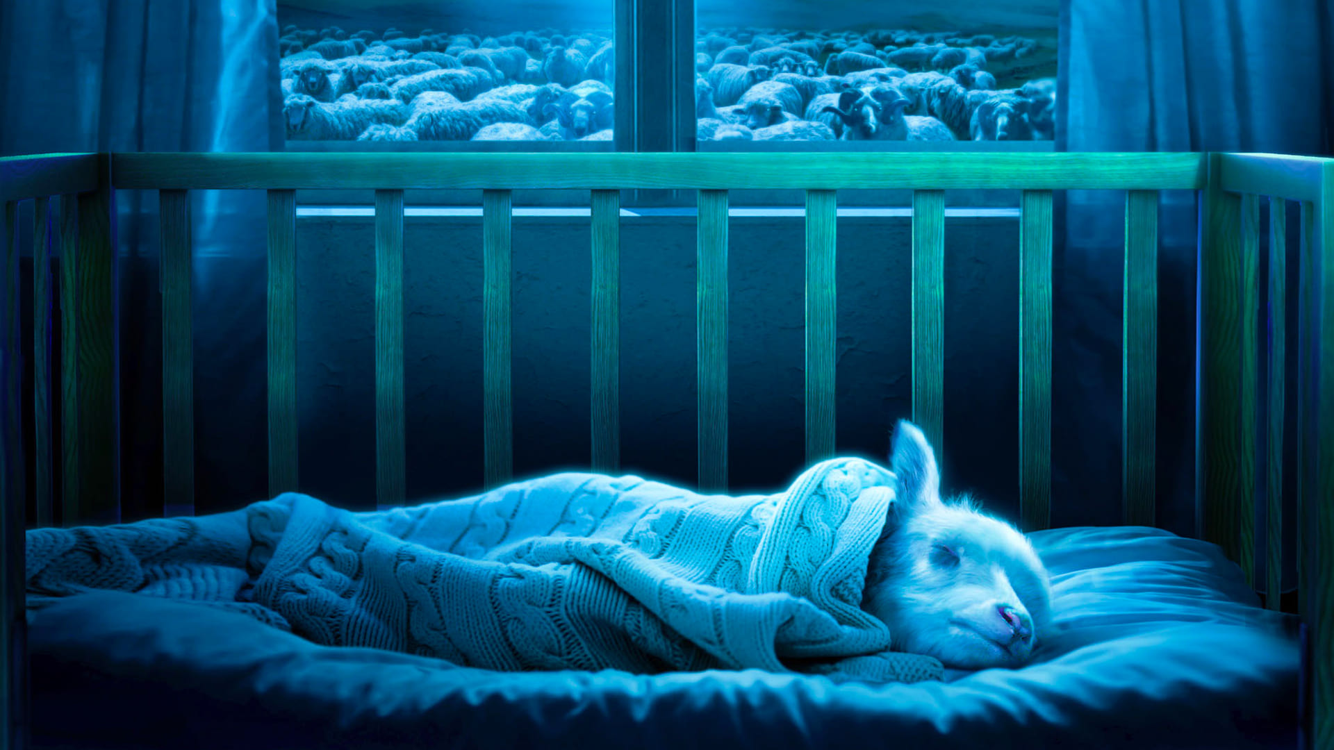 Lamb Poster