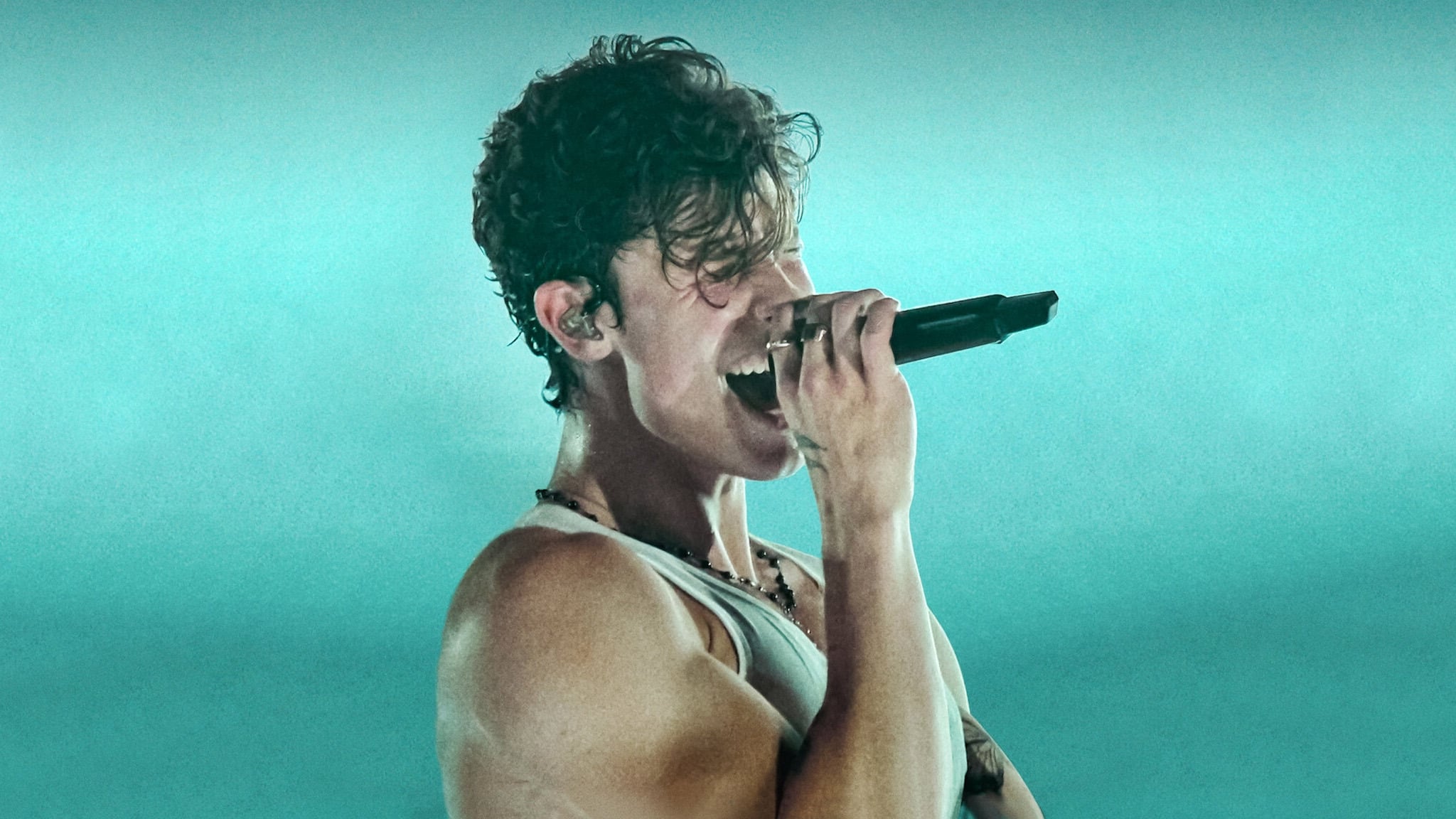 Shawn Mendes: Live in Concert Poster