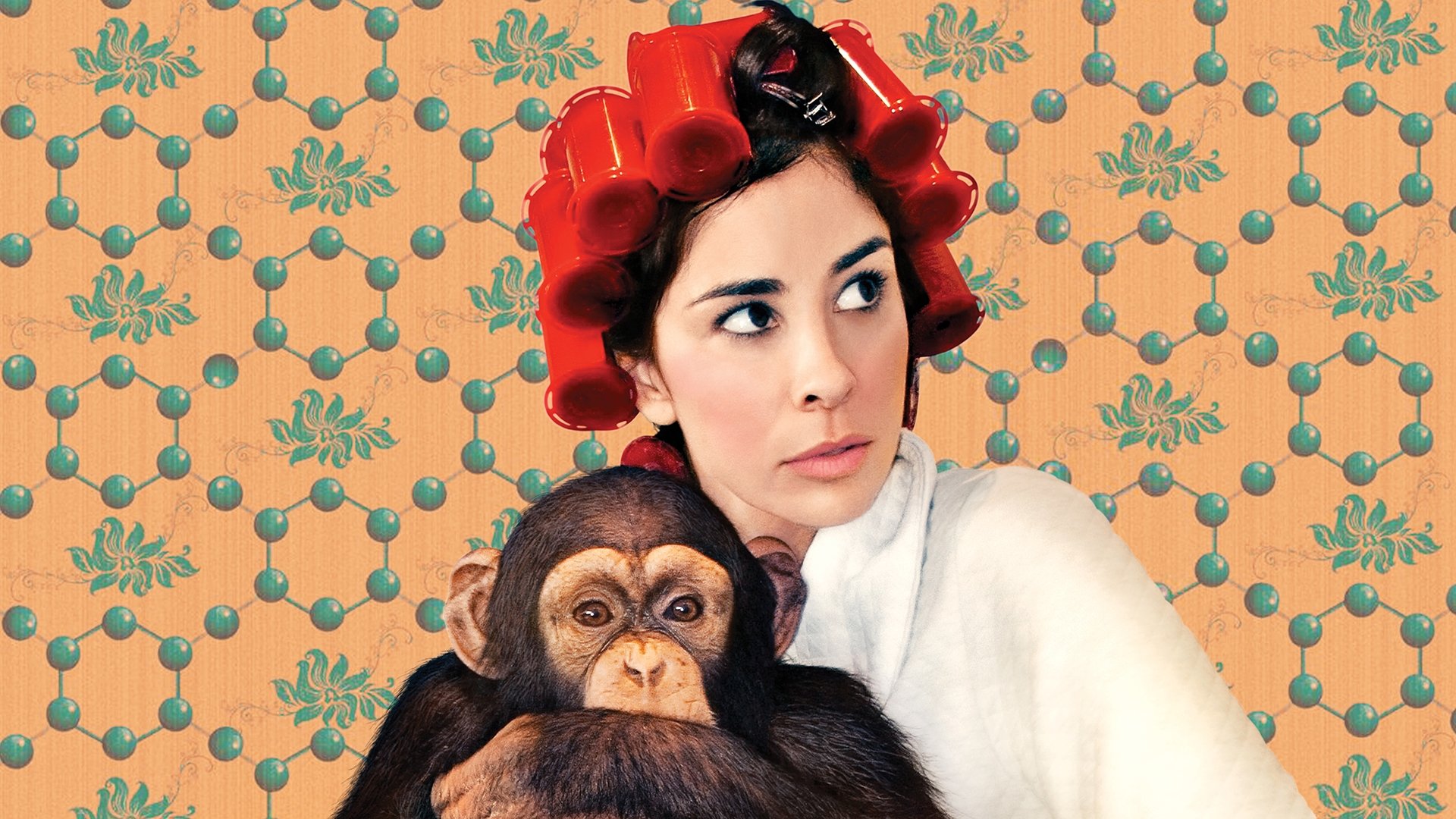 Sarah Silverman: We Are Miracles Poster