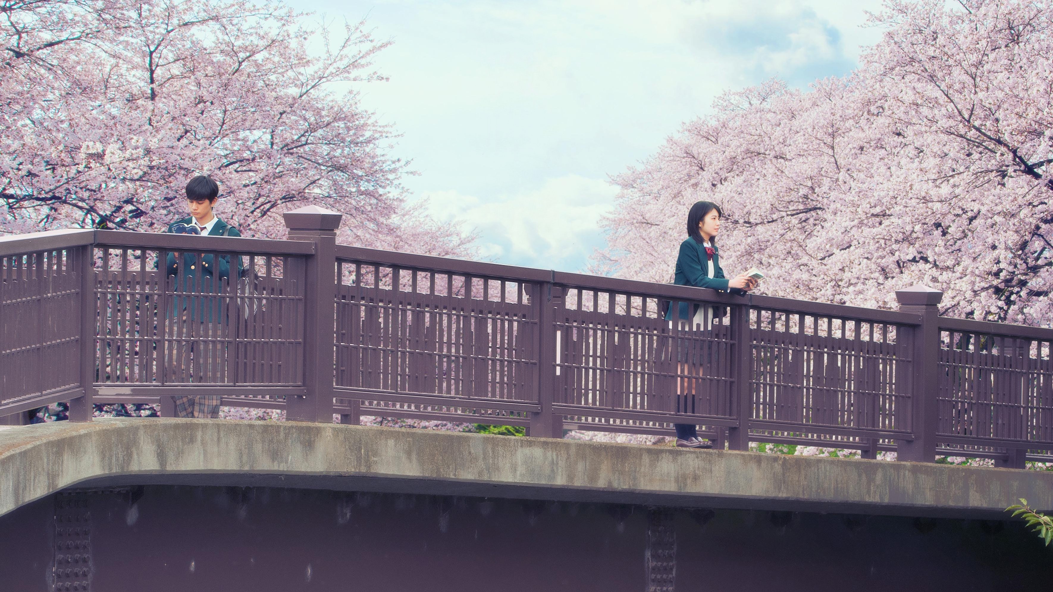 Let Me Eat Your Pancreas Poster