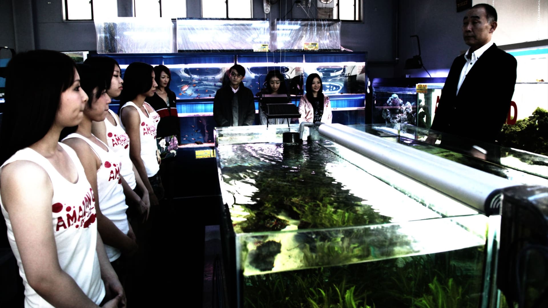 Cold Fish Poster