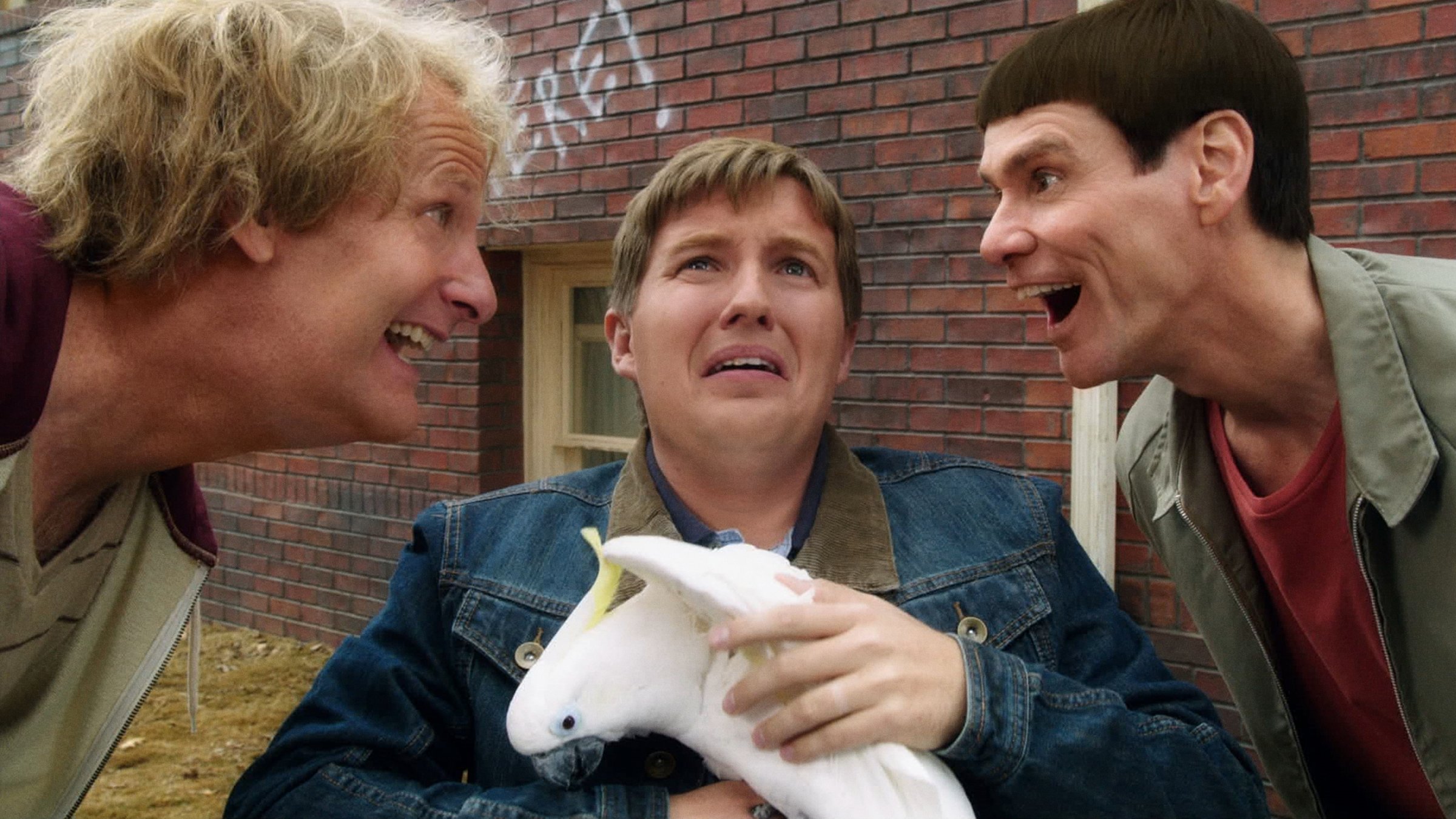Dumb and Dumber To Poster