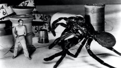 The Incredible Shrinking Man Poster