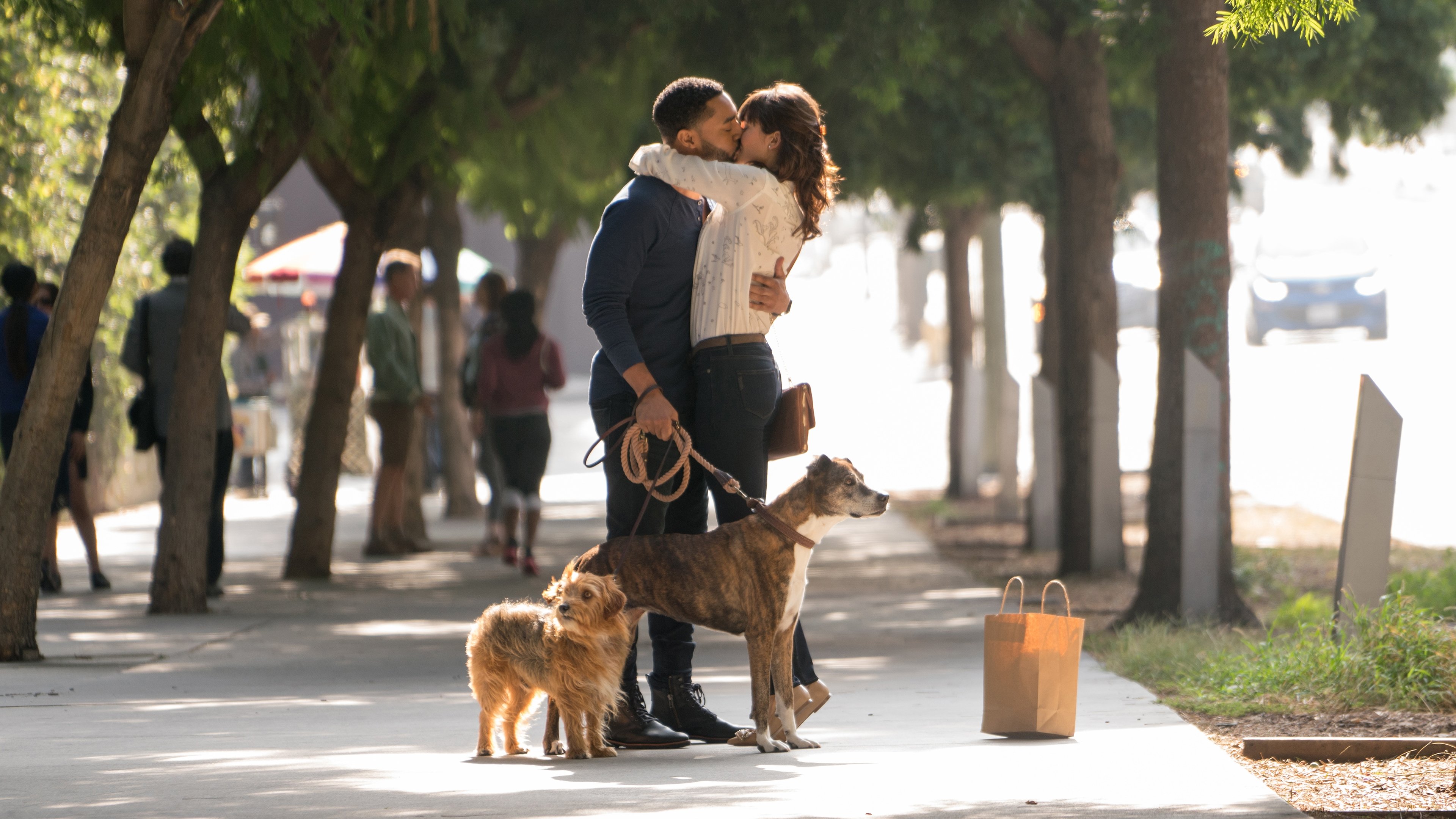 Dog Days Poster