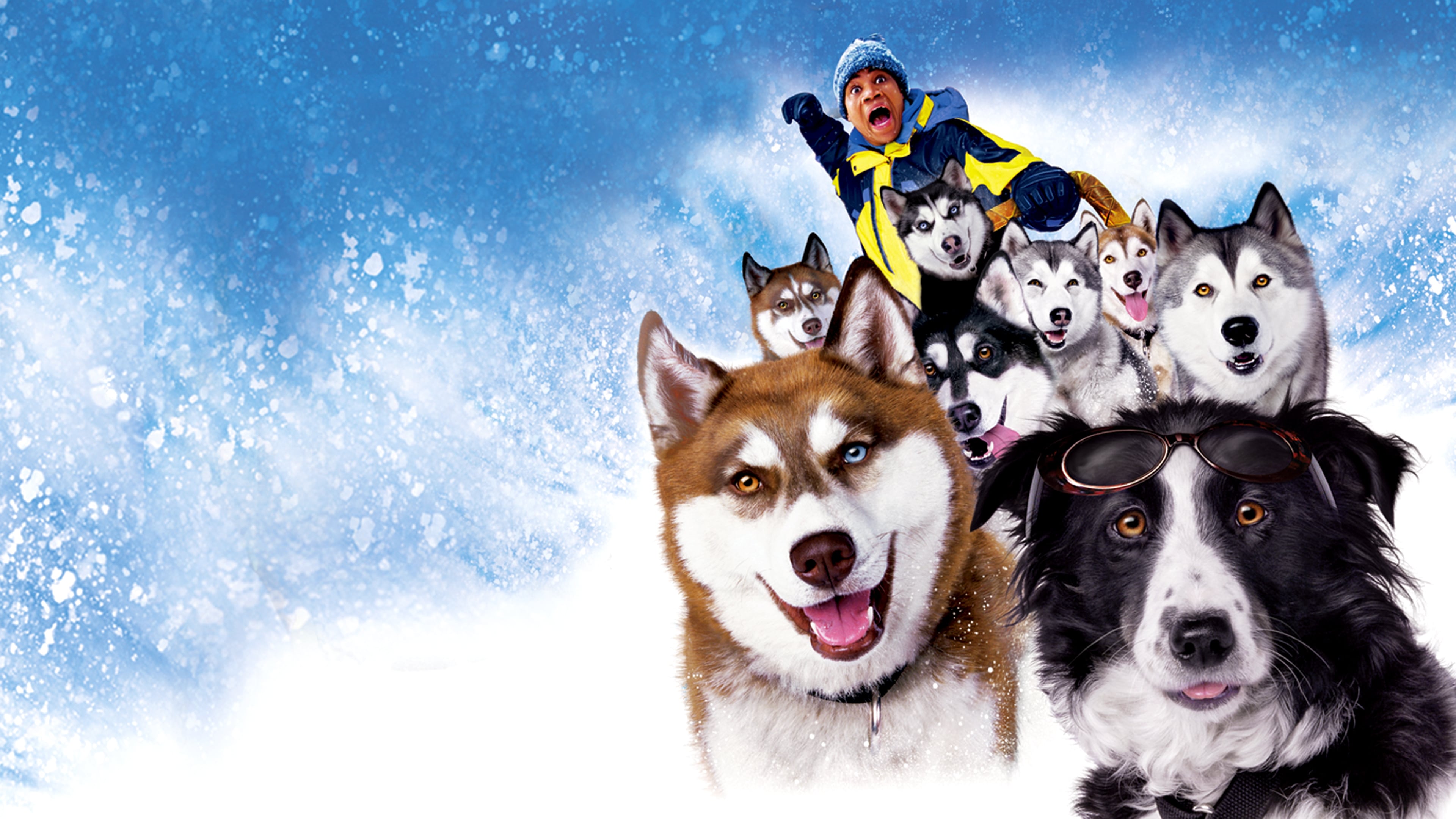 Snow Dogs Poster
