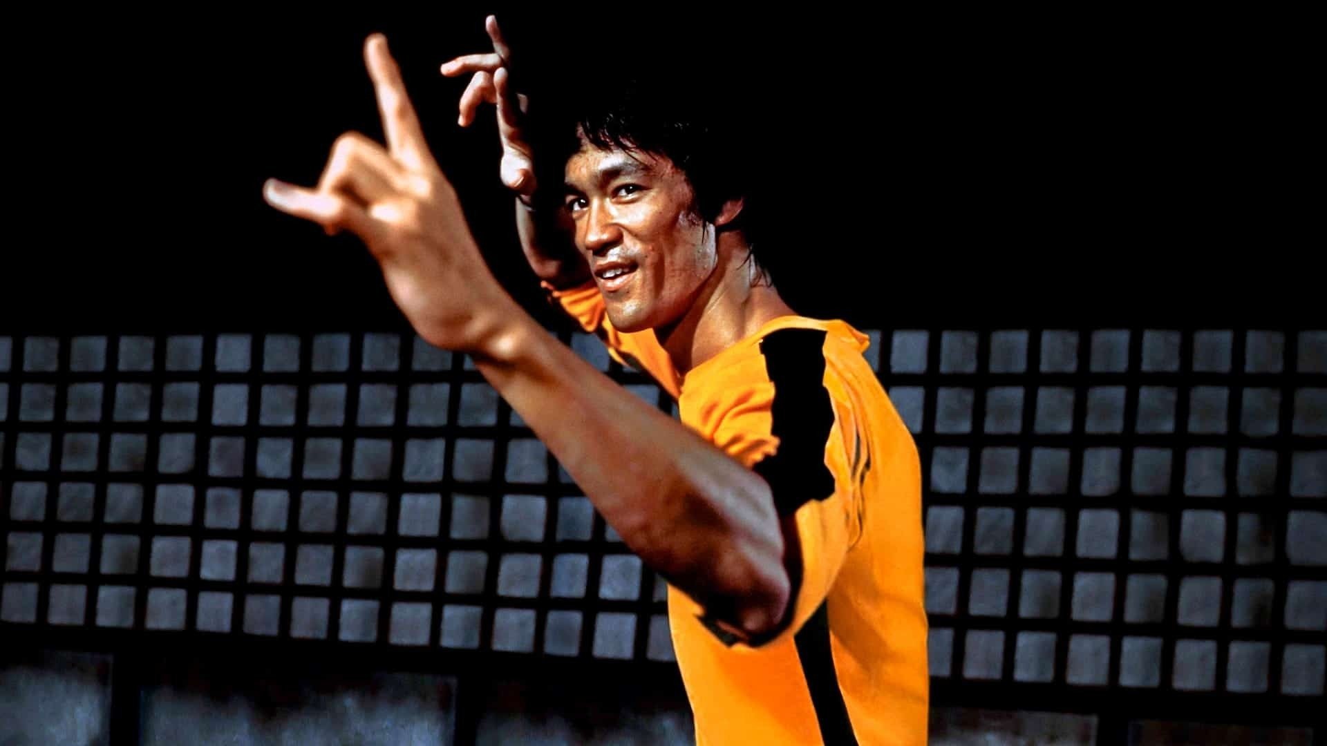 Iron Fists and Kung Fu Kicks Poster